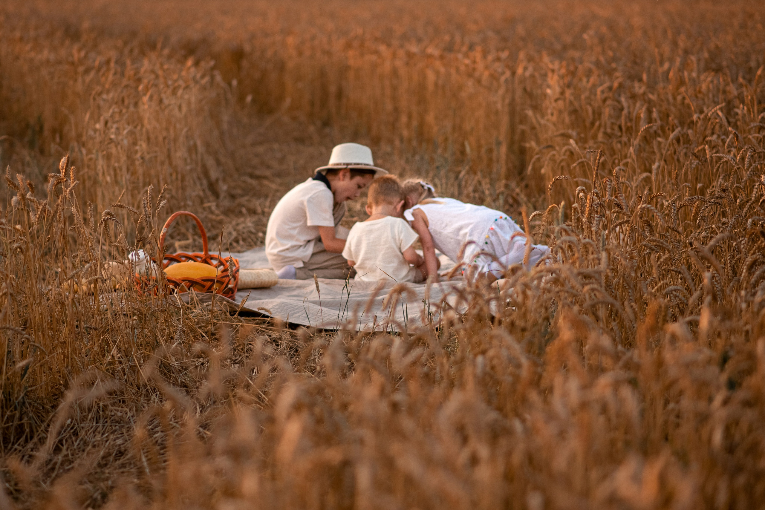 Семейная фотосессия в пшеничном поле. Семейный и детский фотограф в Туле Светлана Воронкова
