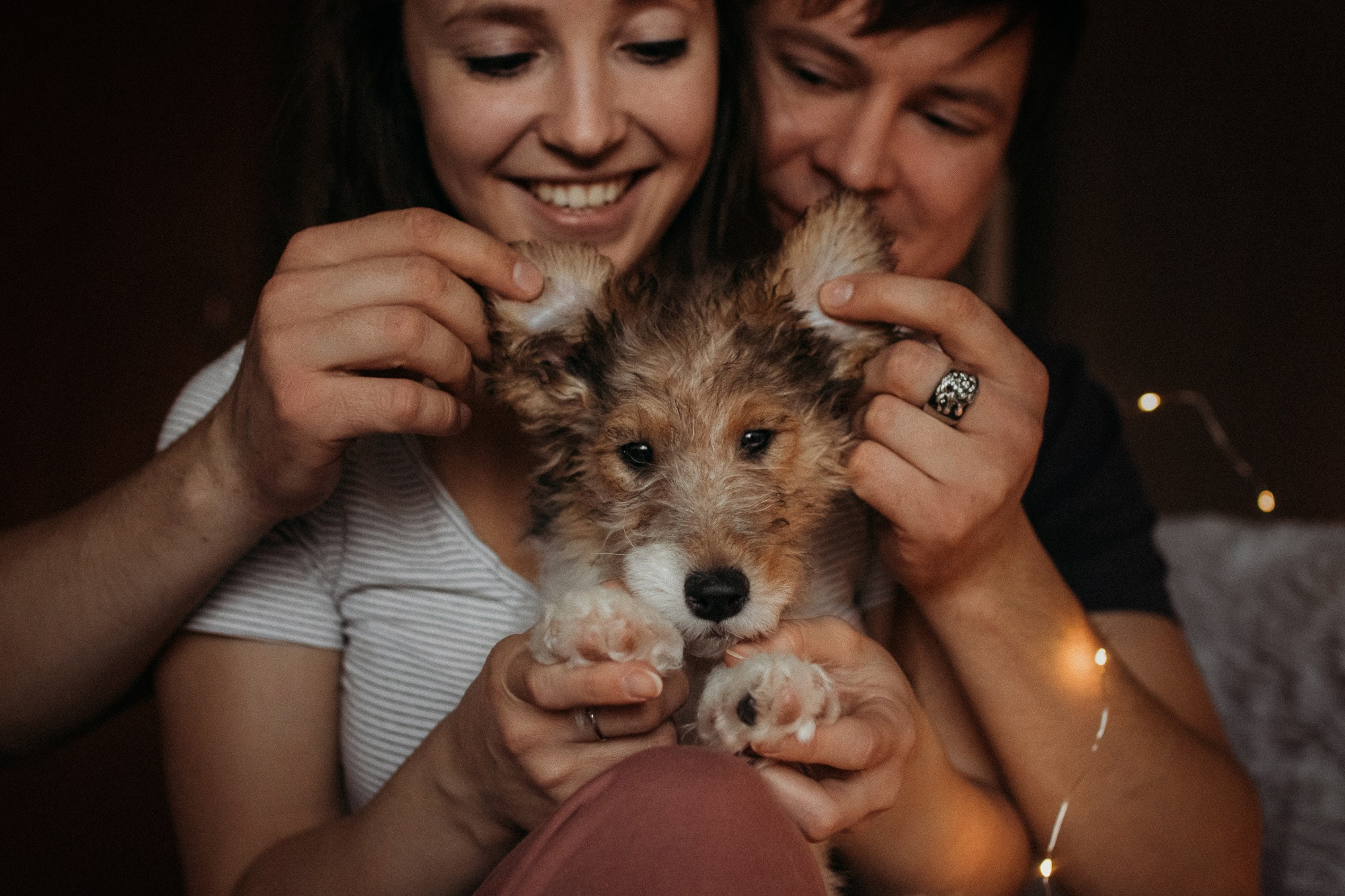 Ребята и фоксы. Фотограф Наталья Потапова