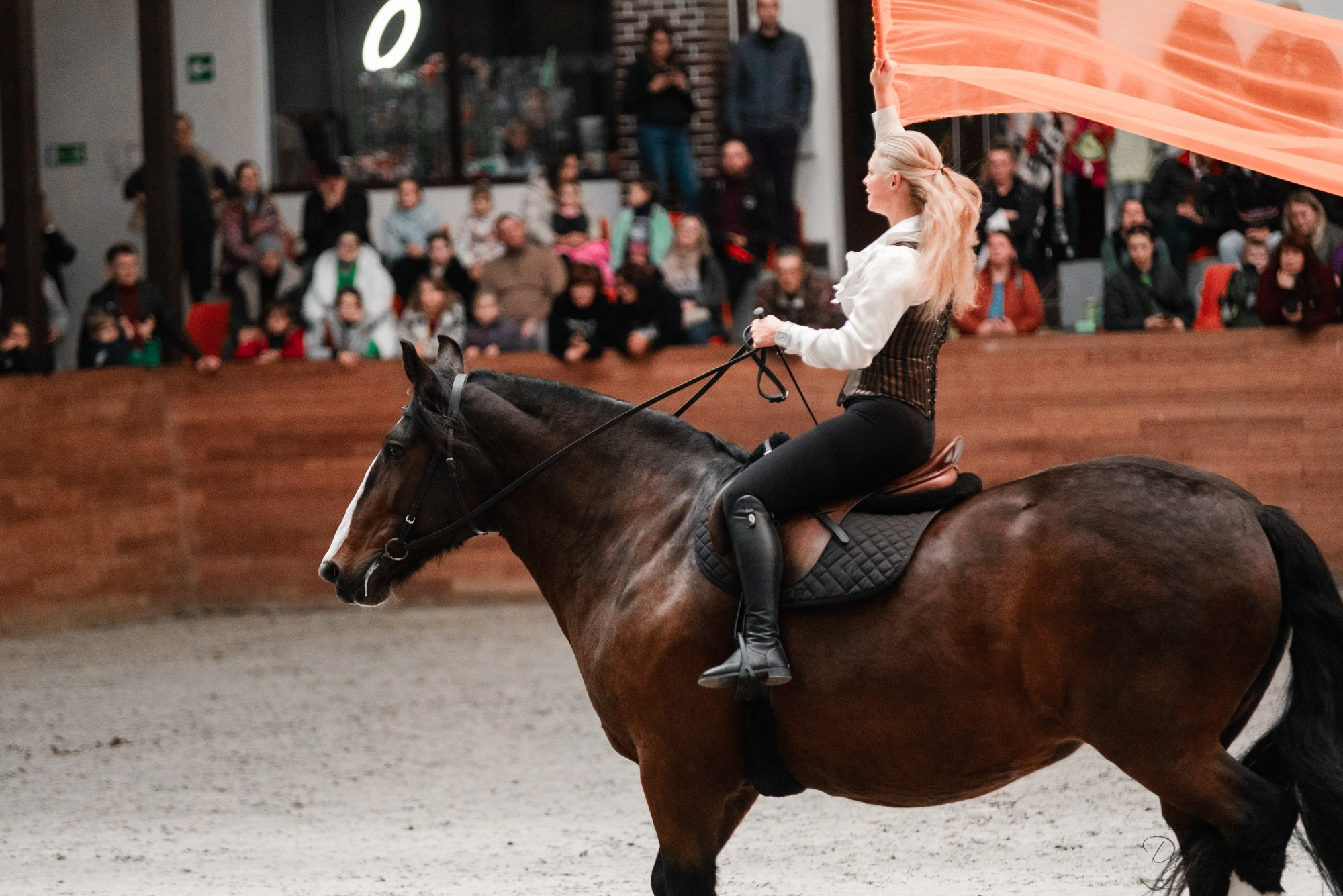 8-я международная выставка Конная Россия. Конный фотограф Куракина Дарья • Фотосессии с лошадьми
