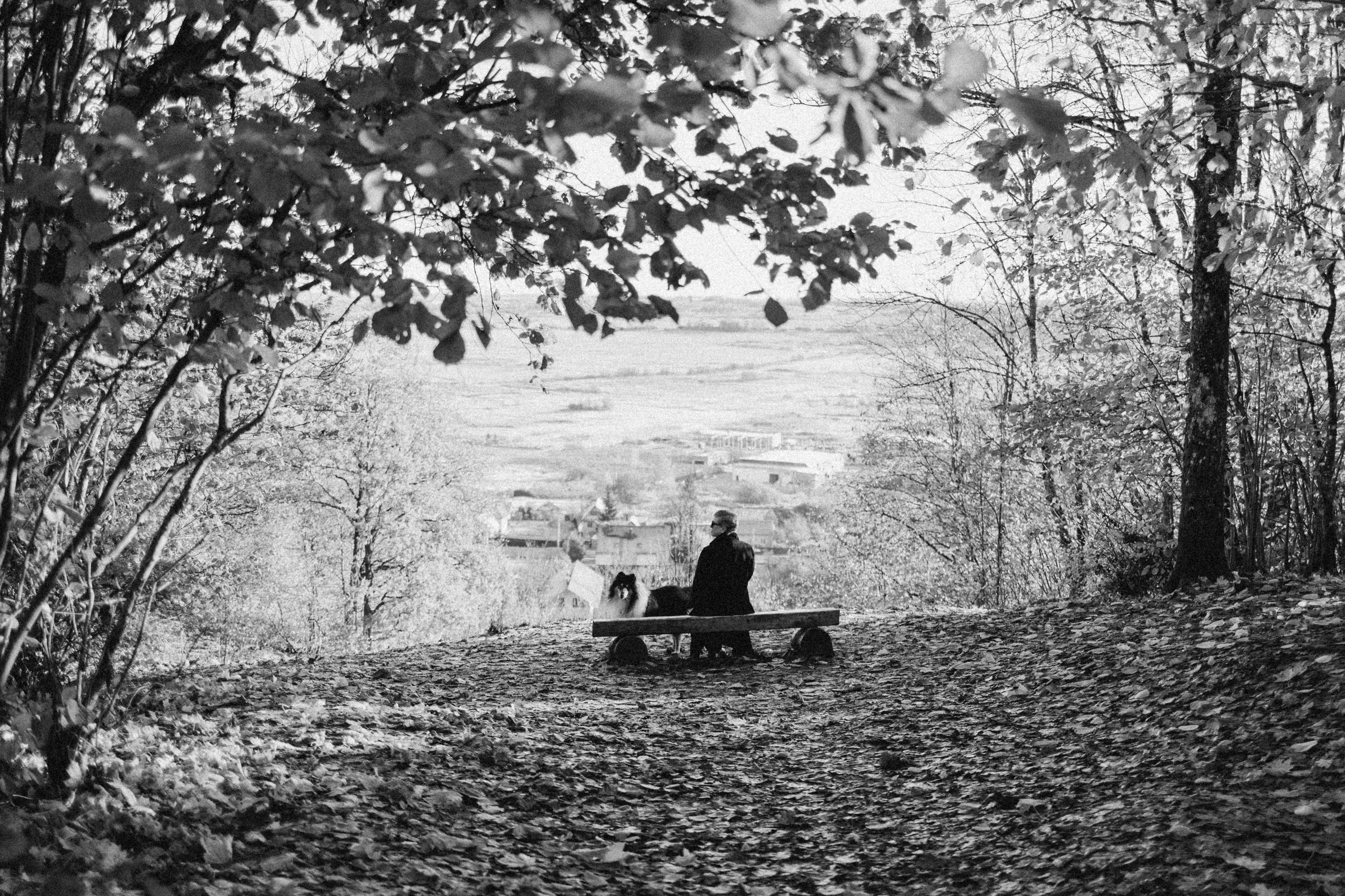 Ия и Барт. Фотограф — Анималист | Санкт-Петербург