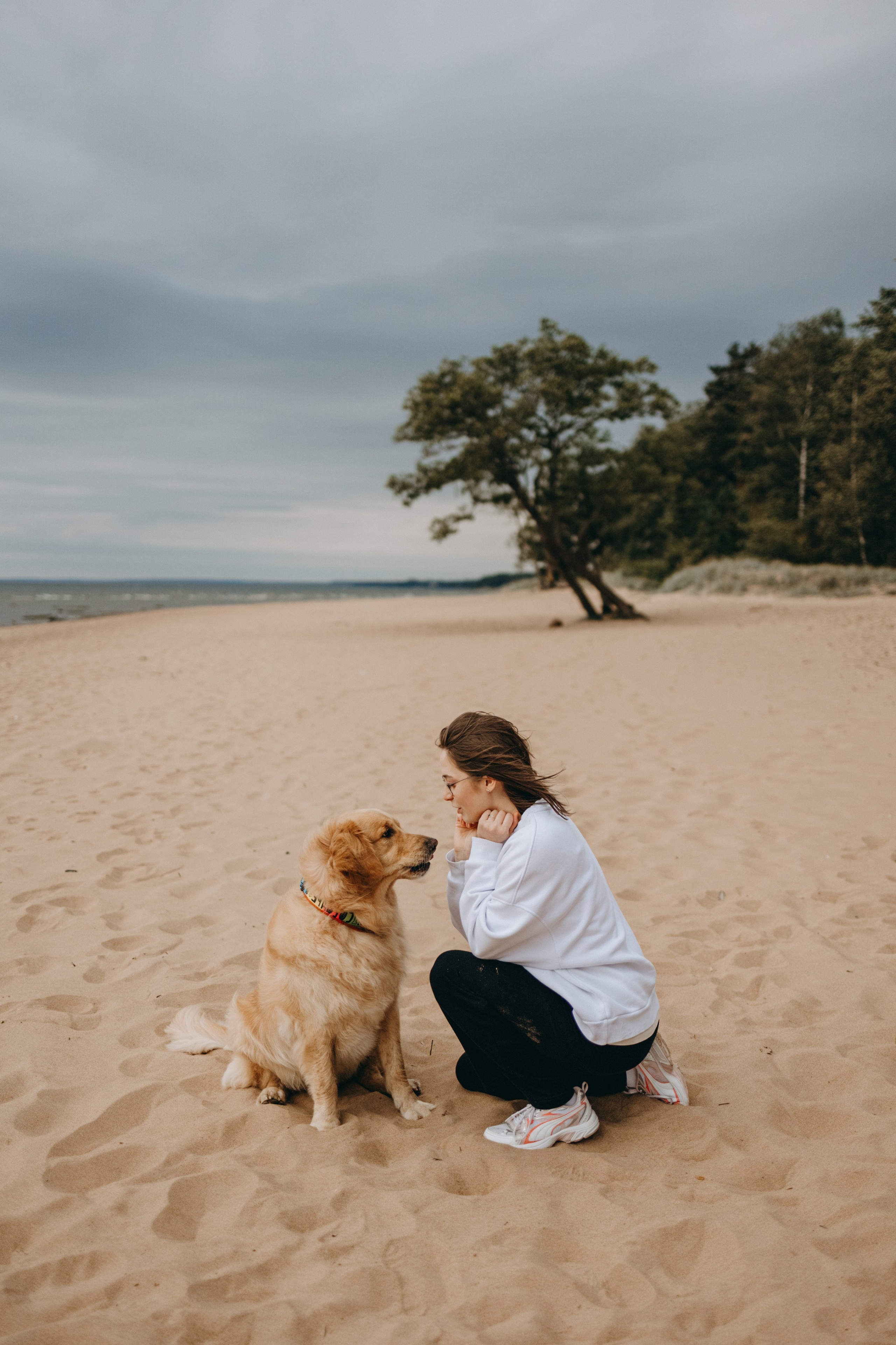 Фоси и его семьи. Фотограф — Анималист | Санкт-Петербург