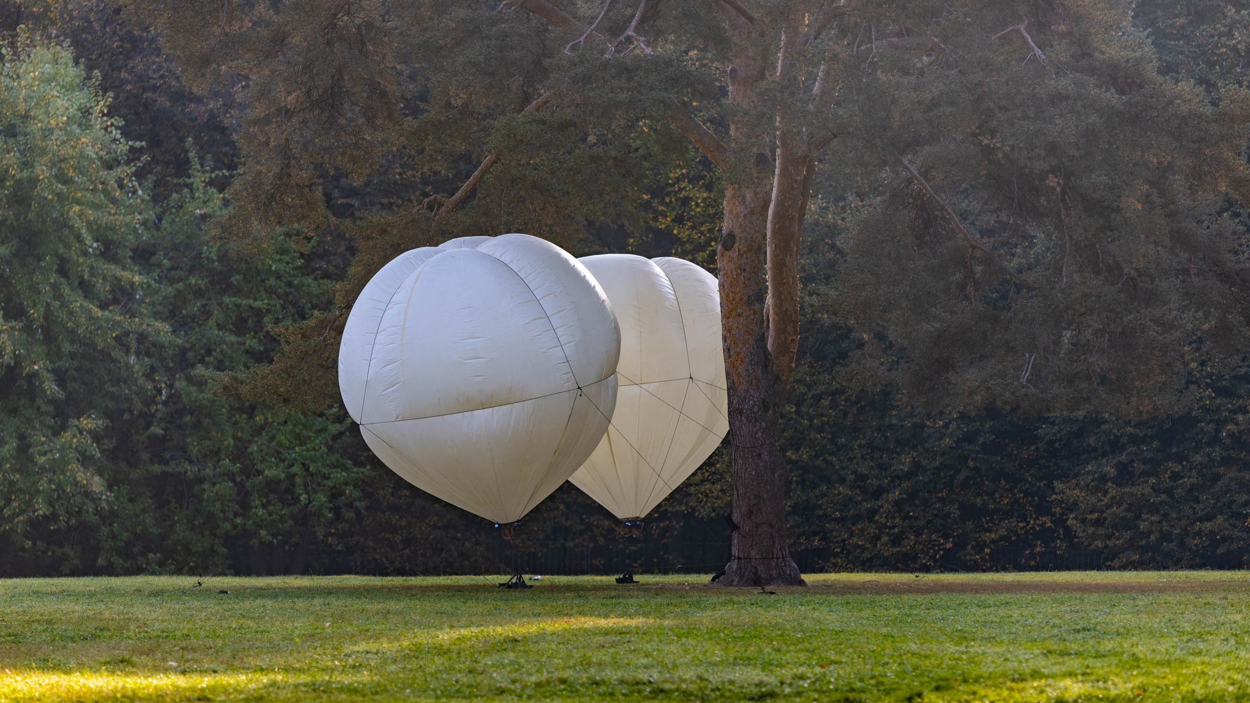 2023 09 Царицыно. Фотографии