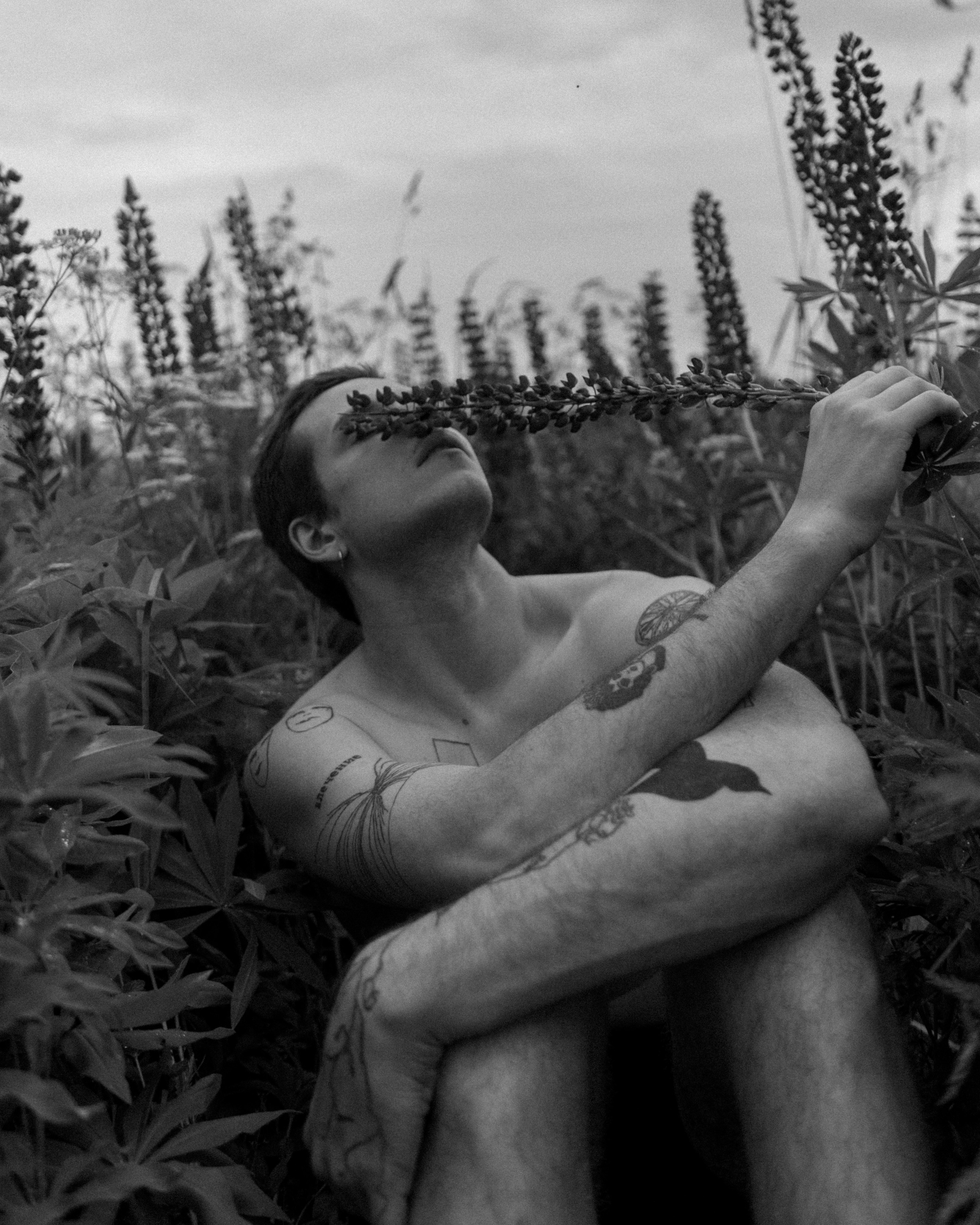 В поле люпинов. Фотограф Елизавета Потешкина