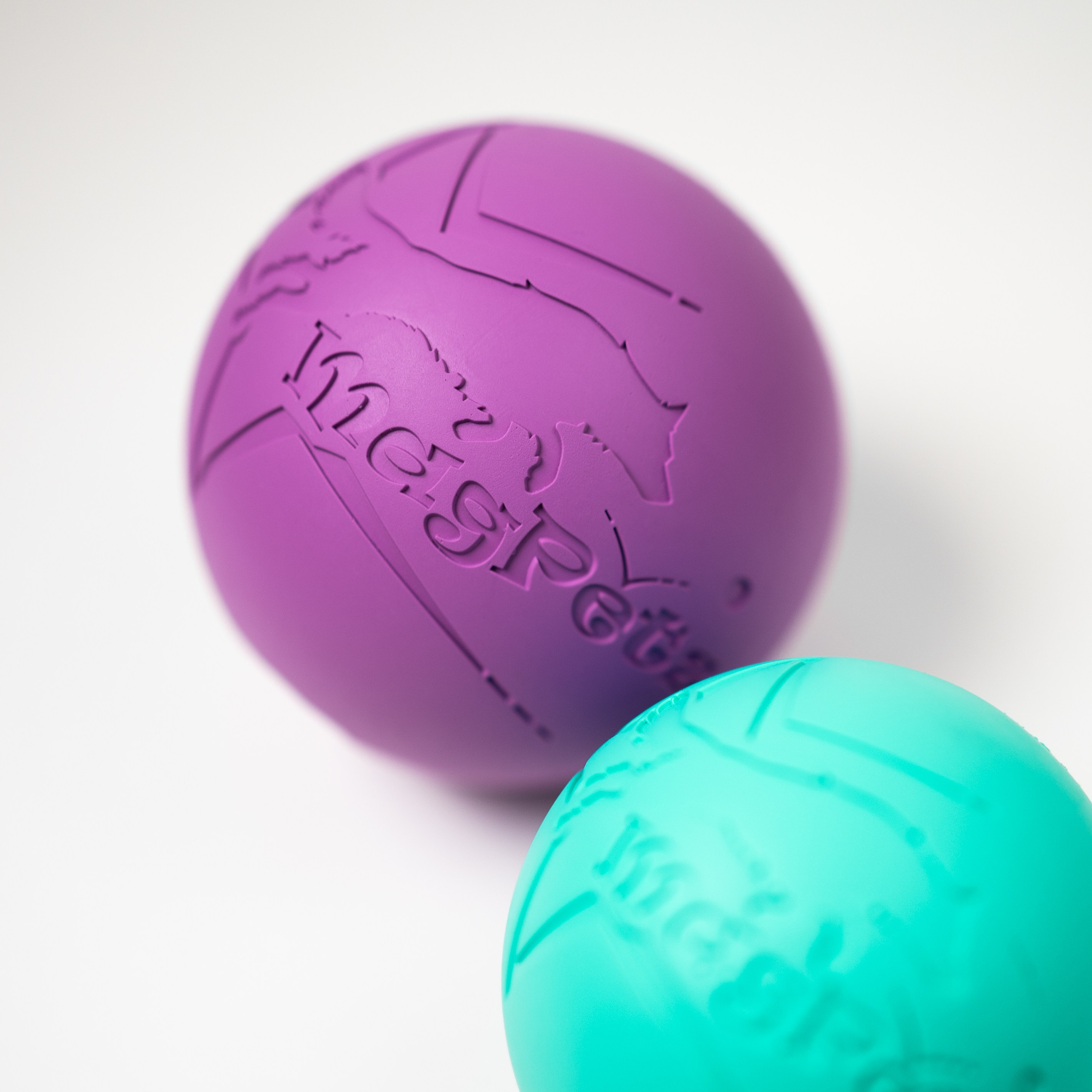 Magpetz. Семейный фотограф анималист Ананьева Мария — Москва