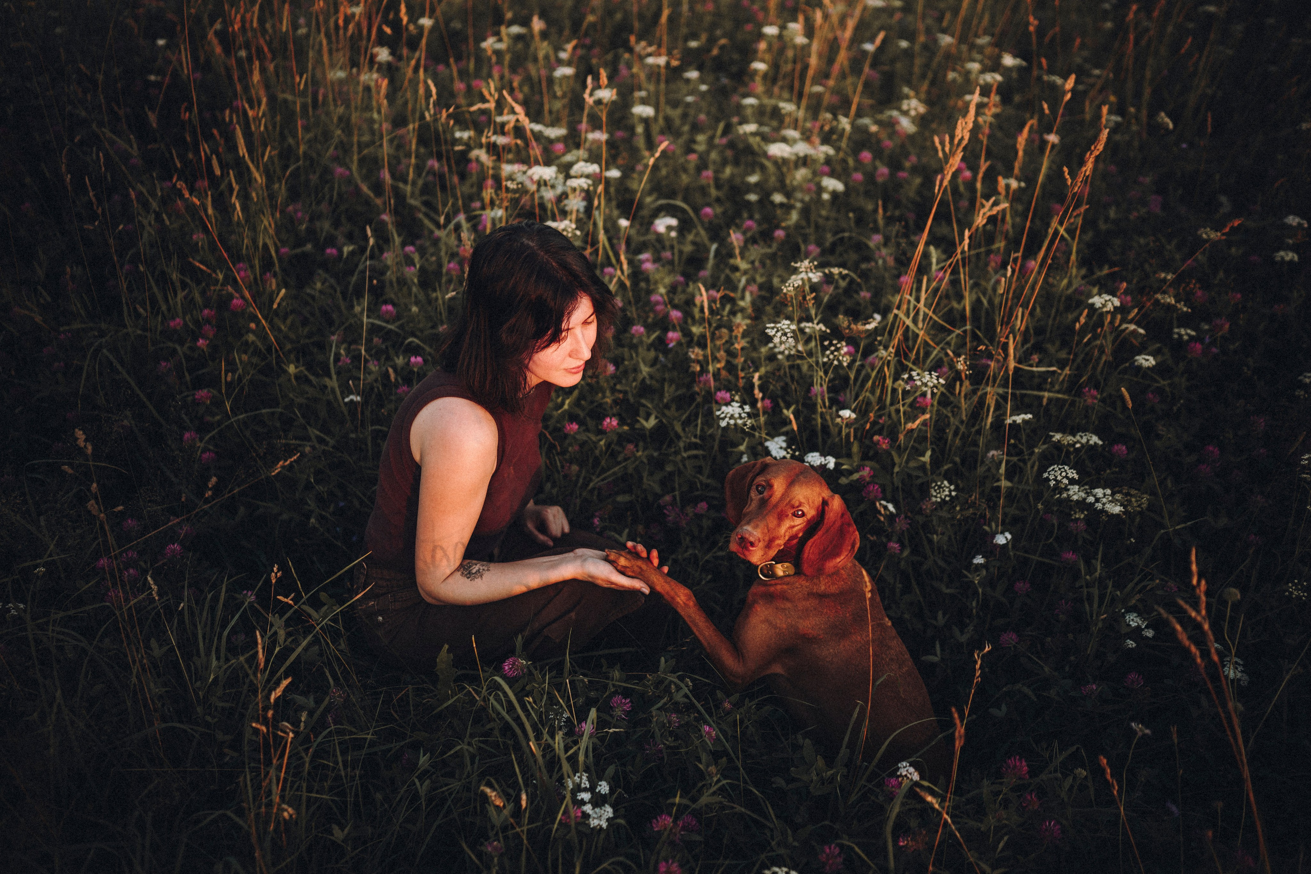 Маша, Трисс и Эста. Семейный фотограф анималист Ананьева Мария — Москва