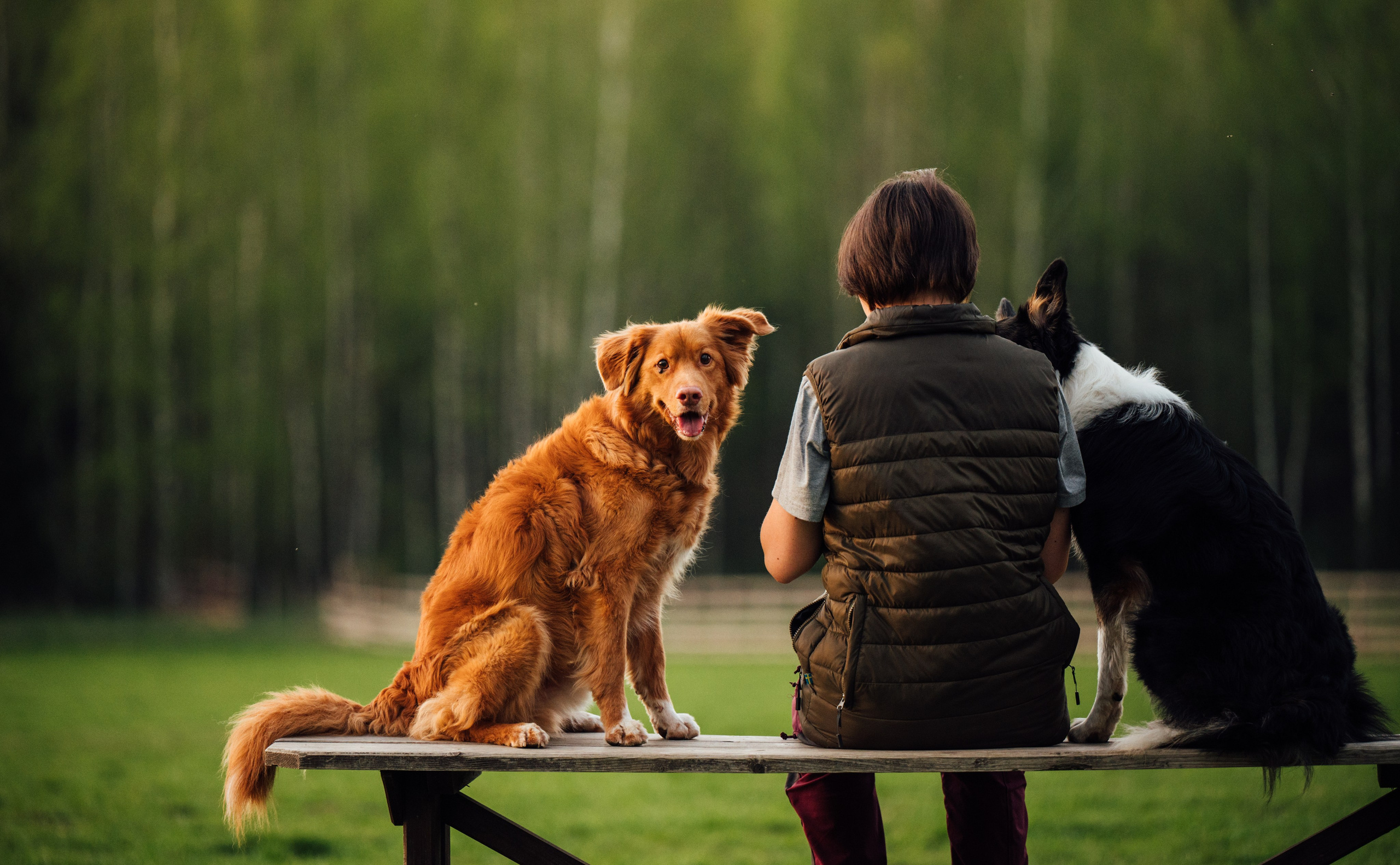 Алия, Ирвин и Грут. Семейный фотограф анималист Ананьева Мария — Москва