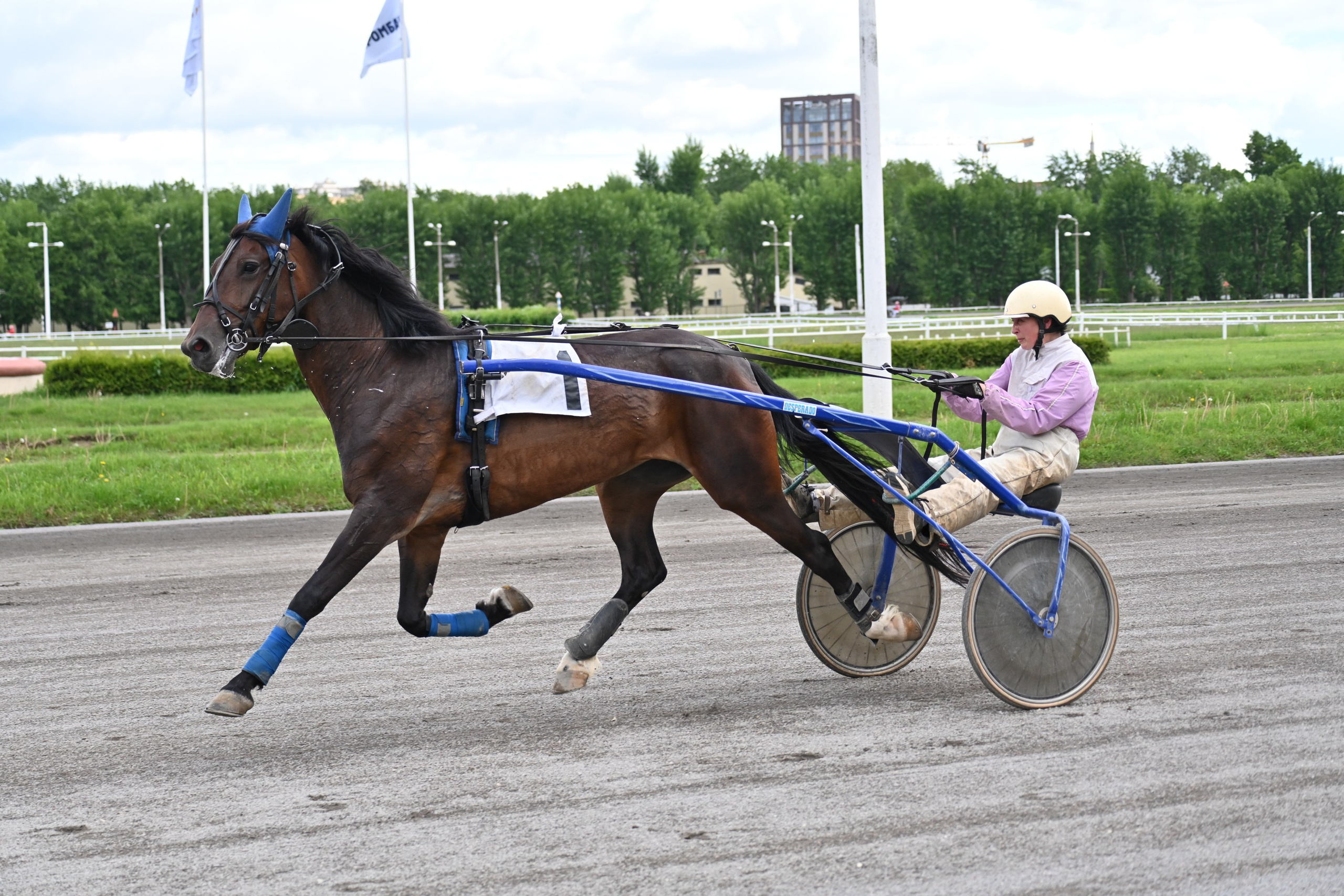 Ипподром (Москва). Fotolux