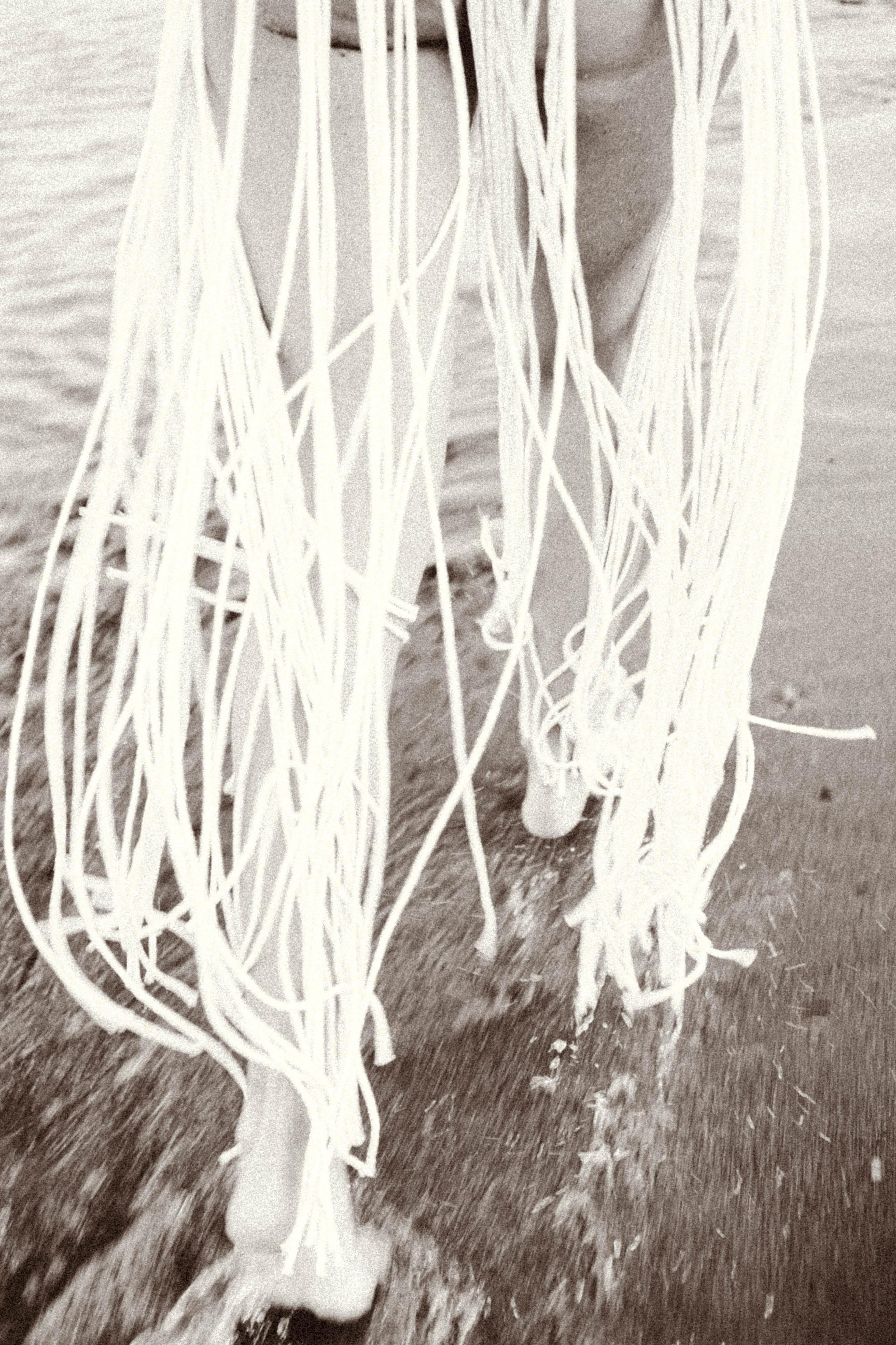 Рассвет. Профессиональный фотограф, Санкт-Петербург — Виктория Богомолова