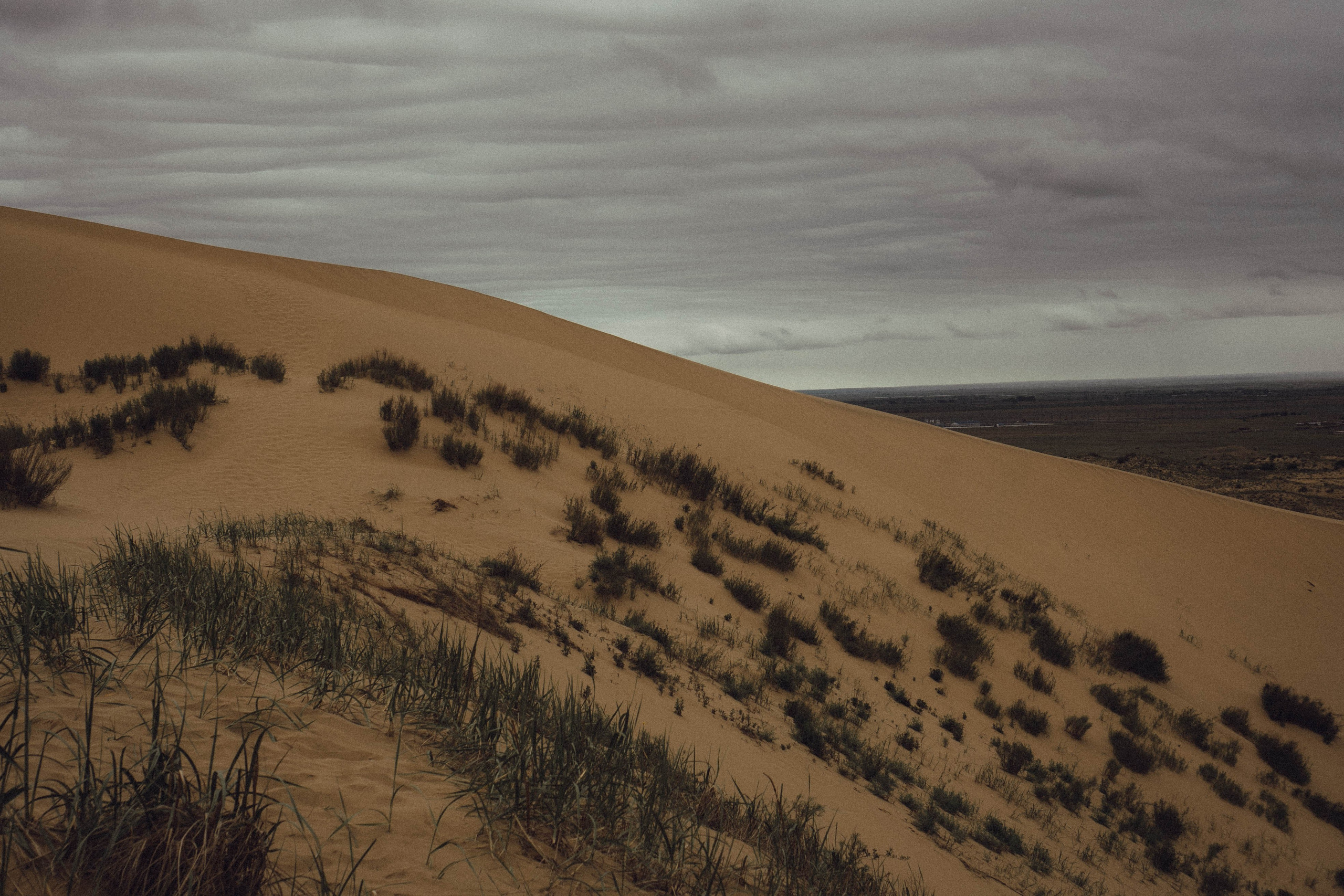 Кавказ. Профессиональный фотограф, Санкт-Петербург — Виктория Богомолова