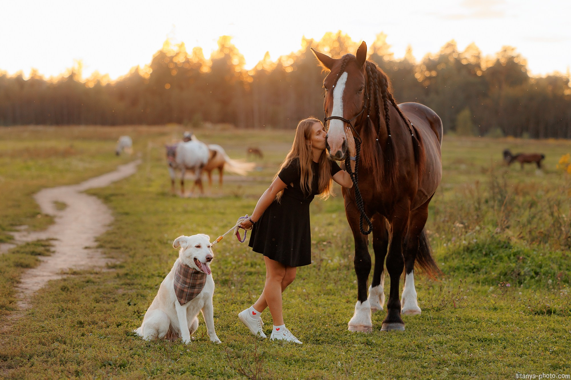 Закатная семейная фотосессия: про Настю и её дружную семью. Фотограф собак, фотограф-анималист Аня Титова (Titanya). Москва