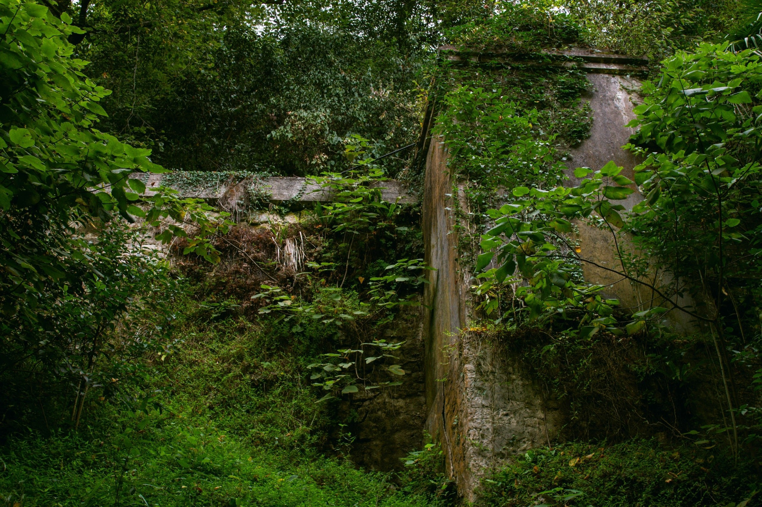 Абхазия. Фотограф и видеограф в Бугульме Аня Трутнева