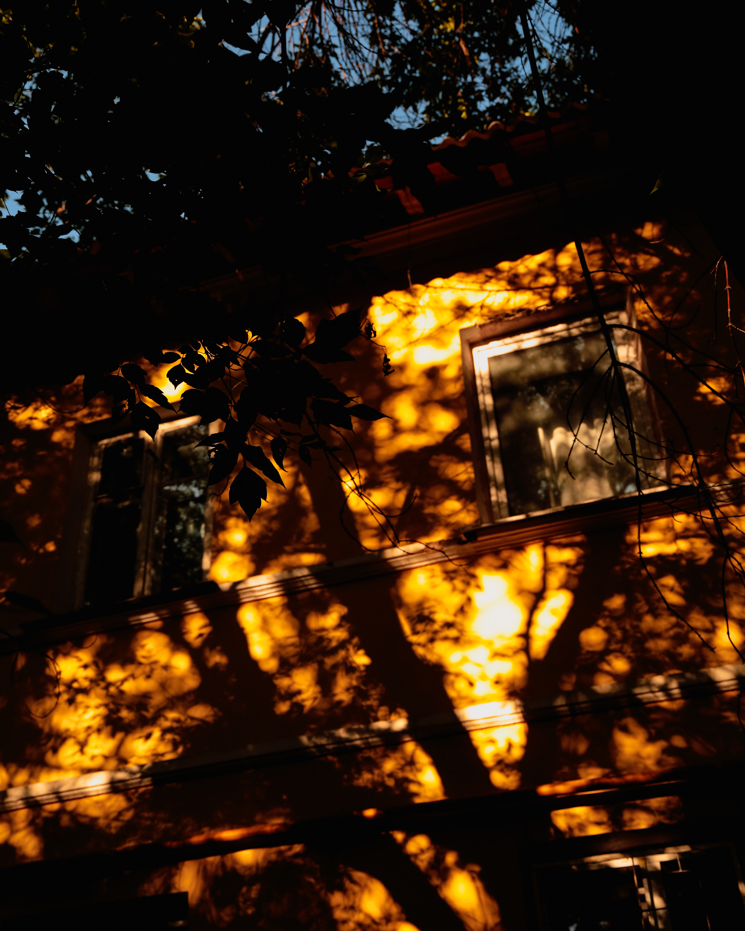 Summertime. Фотограф/дизайнер в Екатеринбурге Хитрый Дмитрий