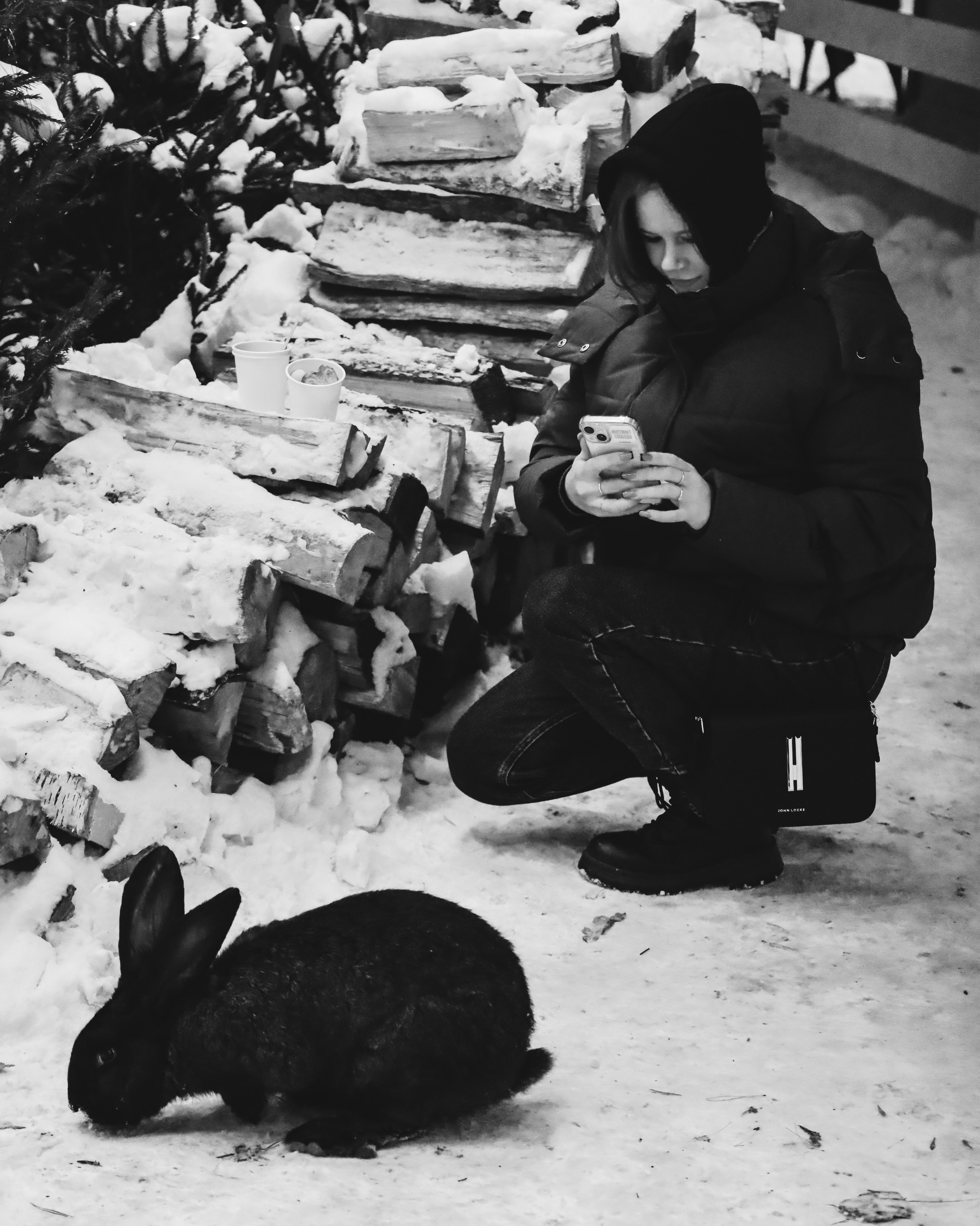 Alpaca park. Фотограф/дизайнер в Екатеринбурге Хитрый Дмитрий