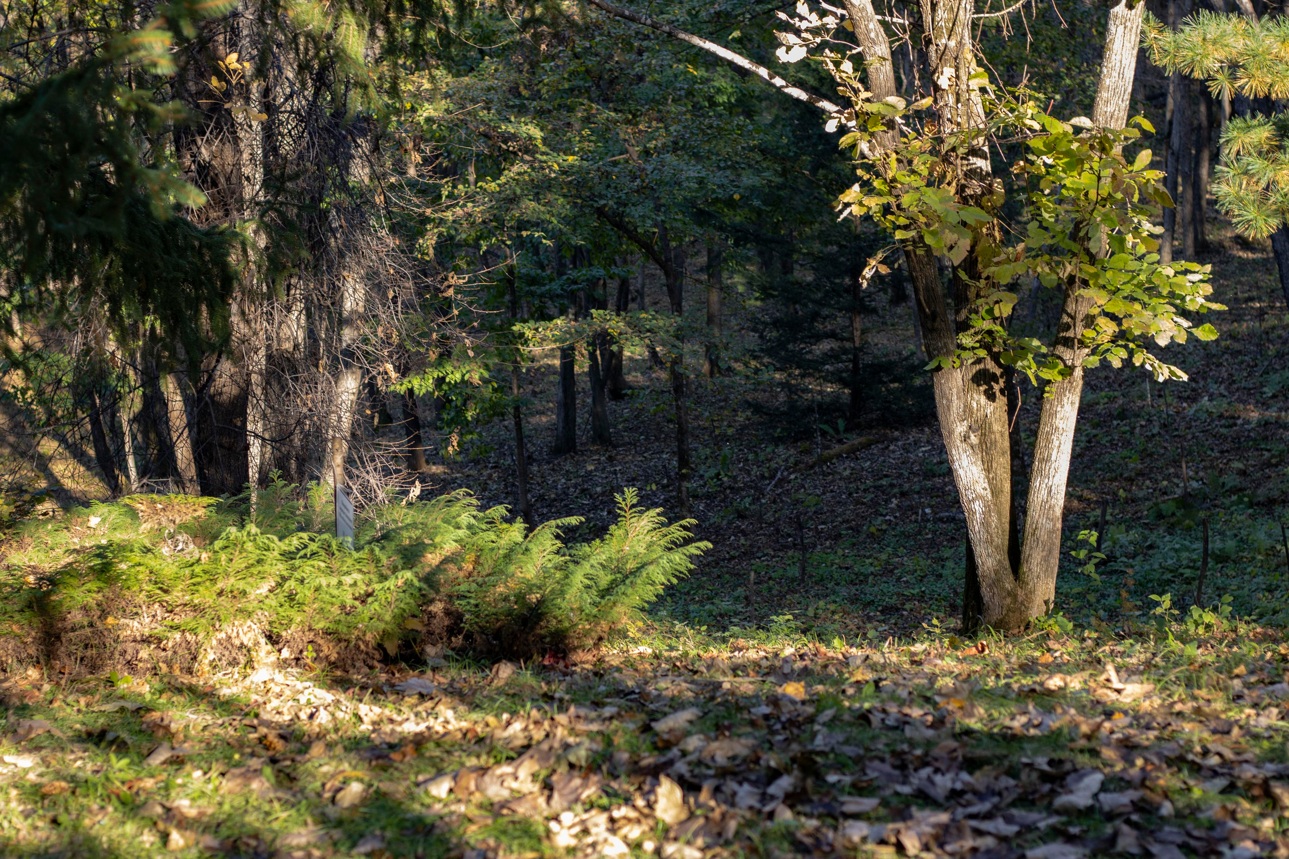 Пейзажи и Природа. Фотограф г. Владивосток