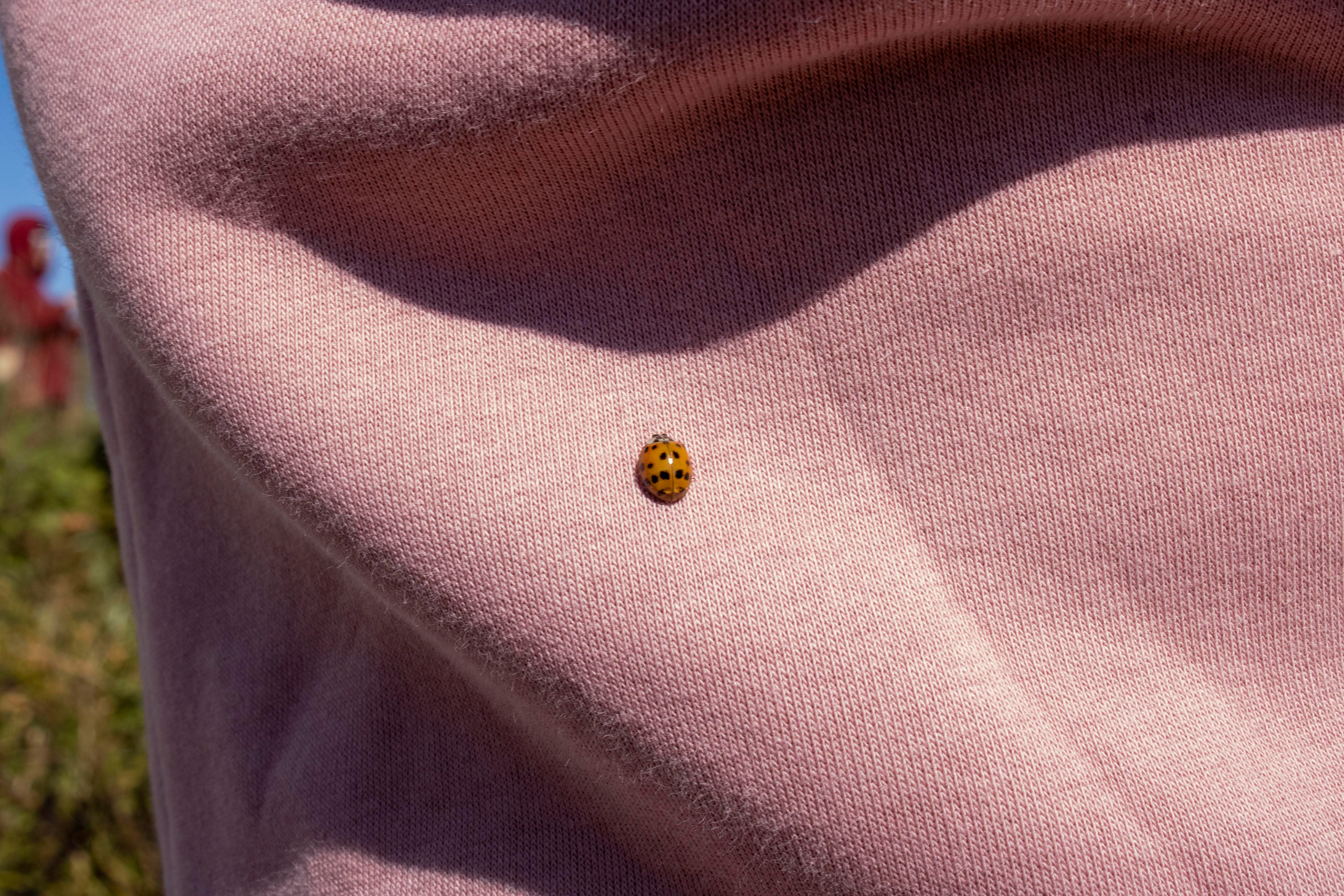 Походы. Фотограф г. Владивосток