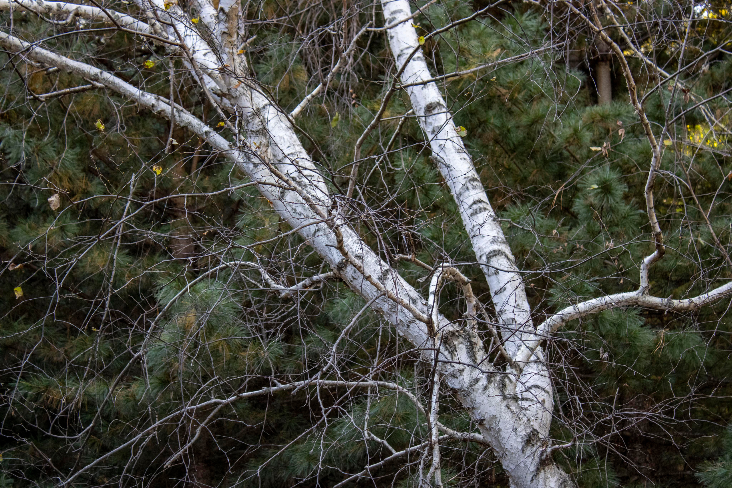 Пейзажи и Природа. Фотограф г. Владивосток