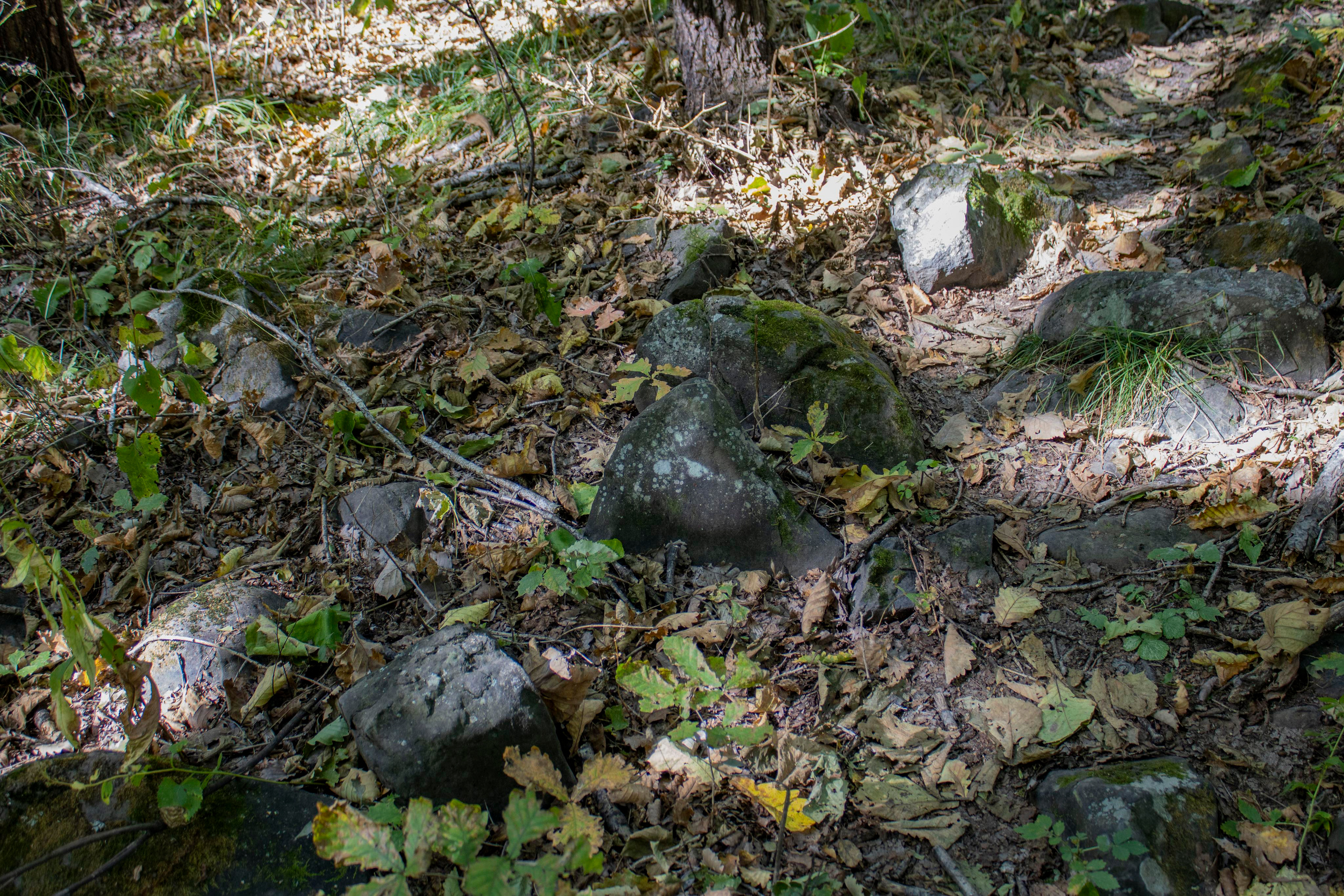 Пейзажи и Природа. Фотограф г. Владивосток