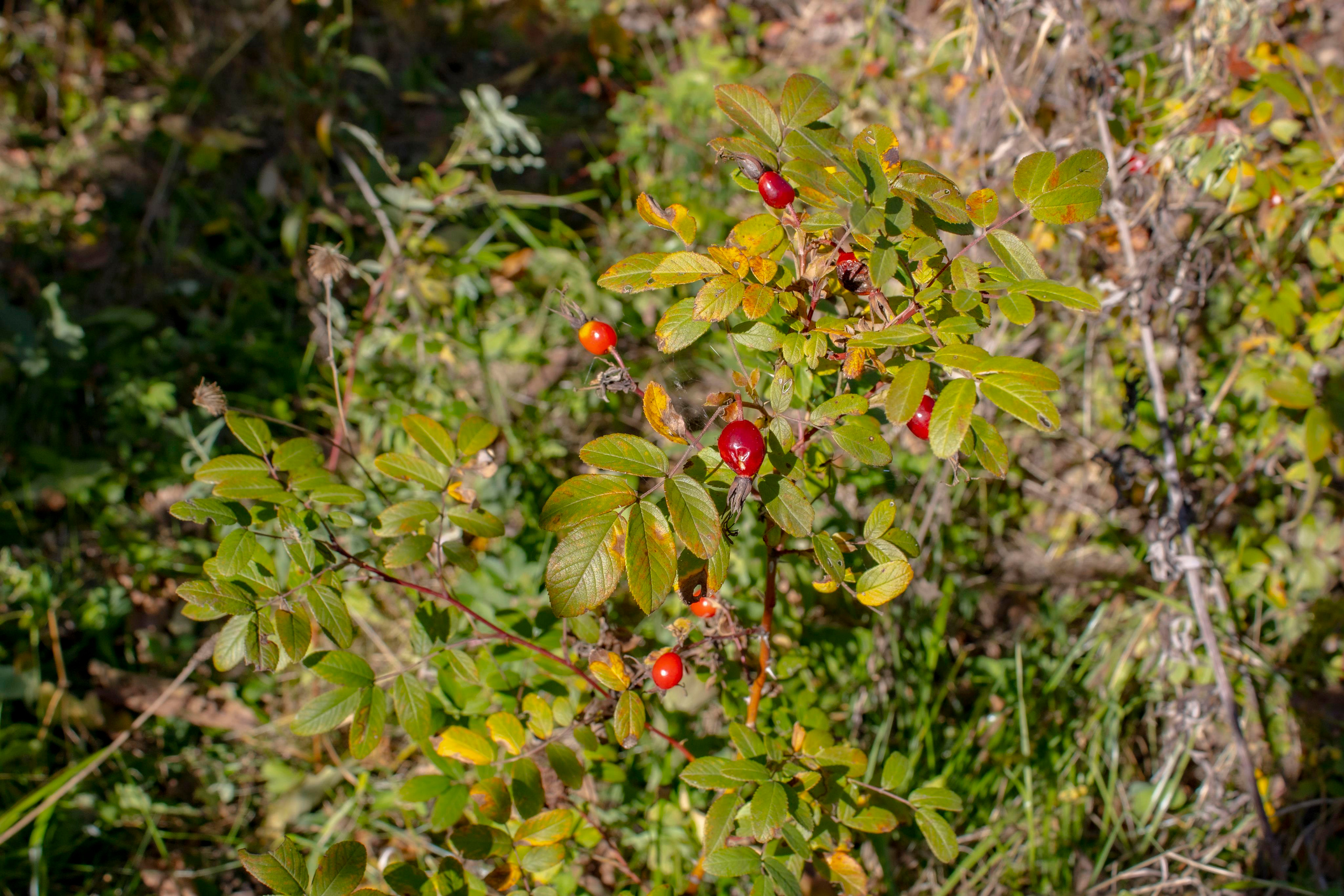 Пейзажи и Природа. Фотограф г. Владивосток