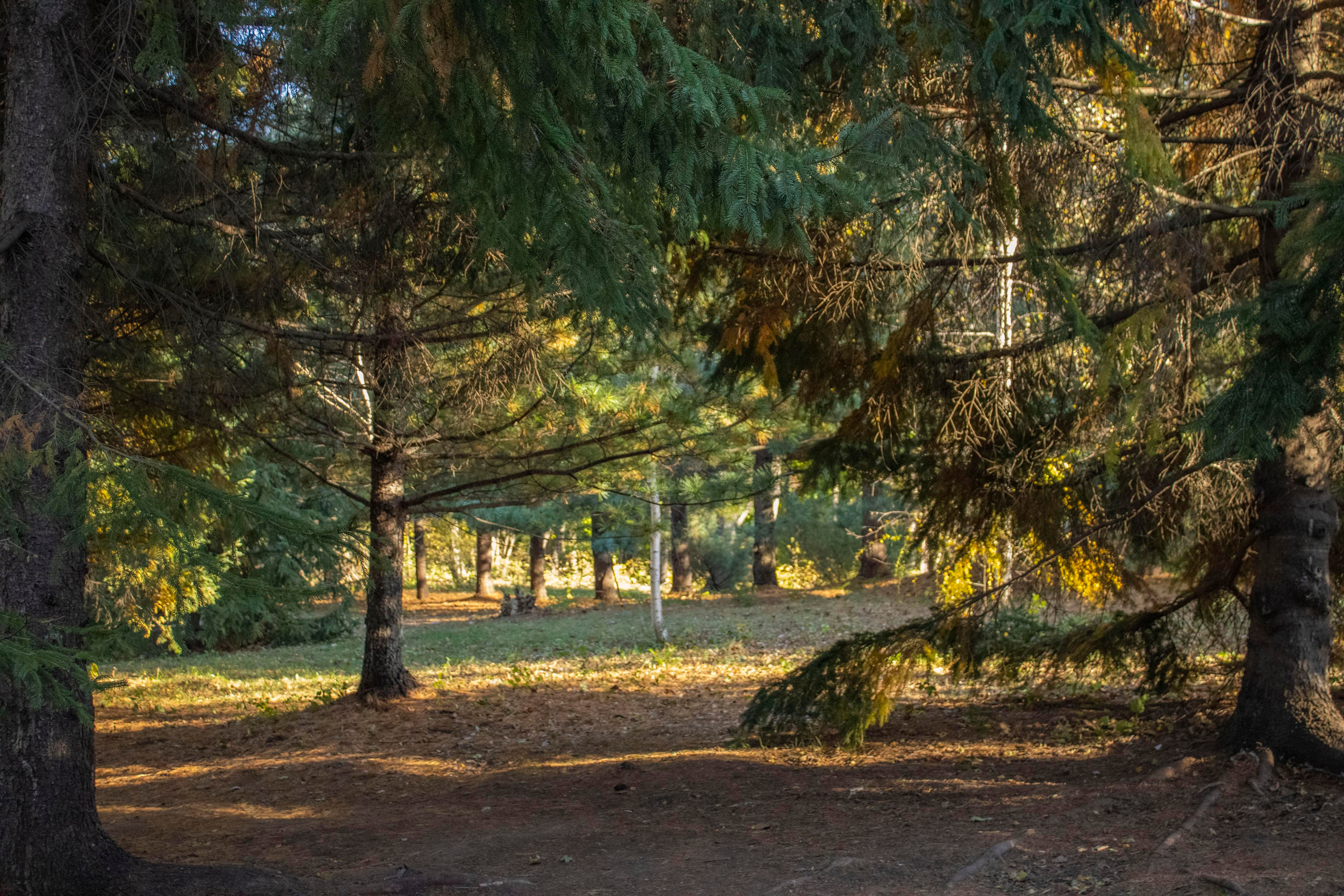 Пейзажи и Природа. Фотограф г. Владивосток