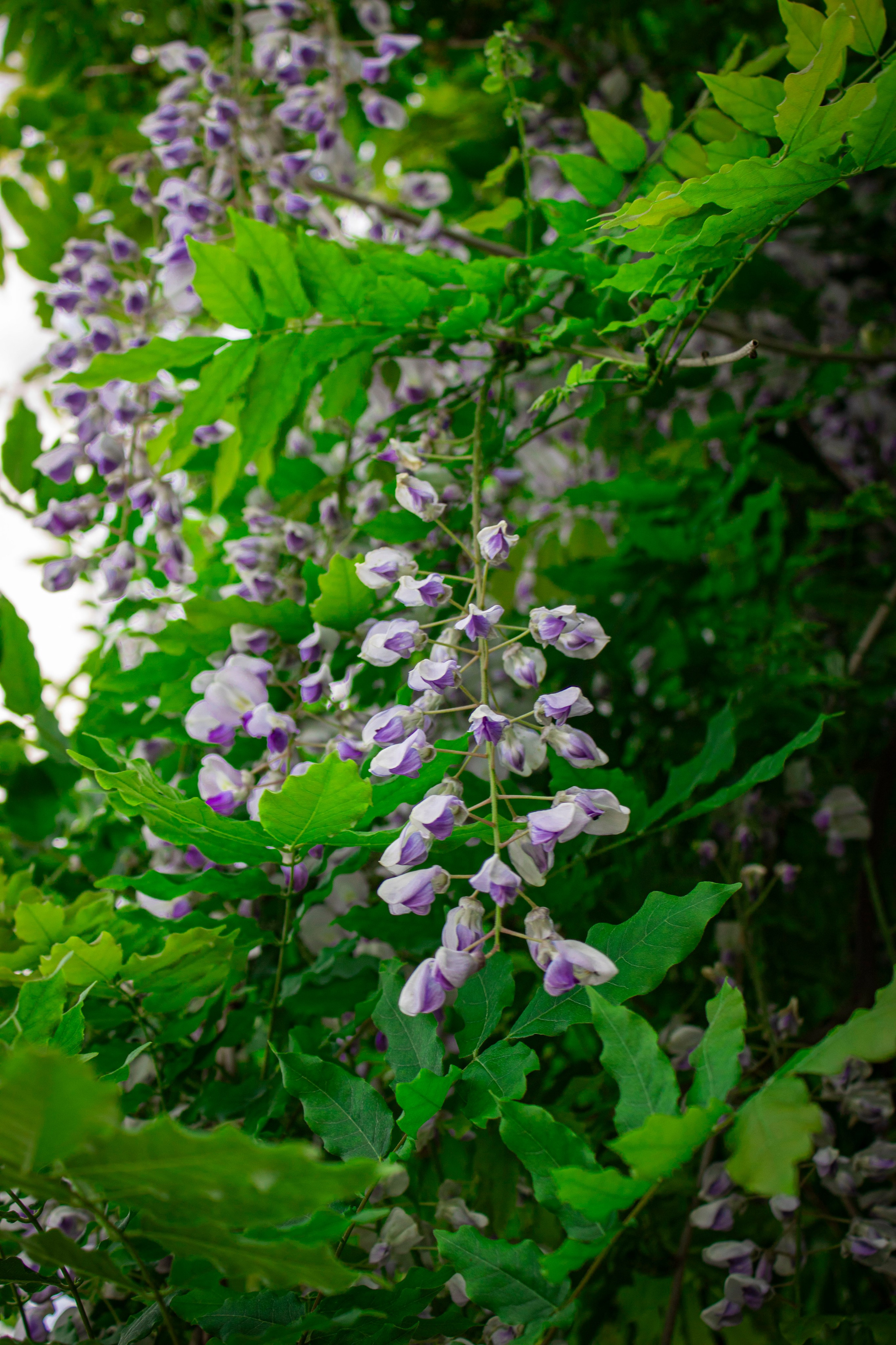 Однажды в Корее. Часть 1. Фотограф г. Владивосток