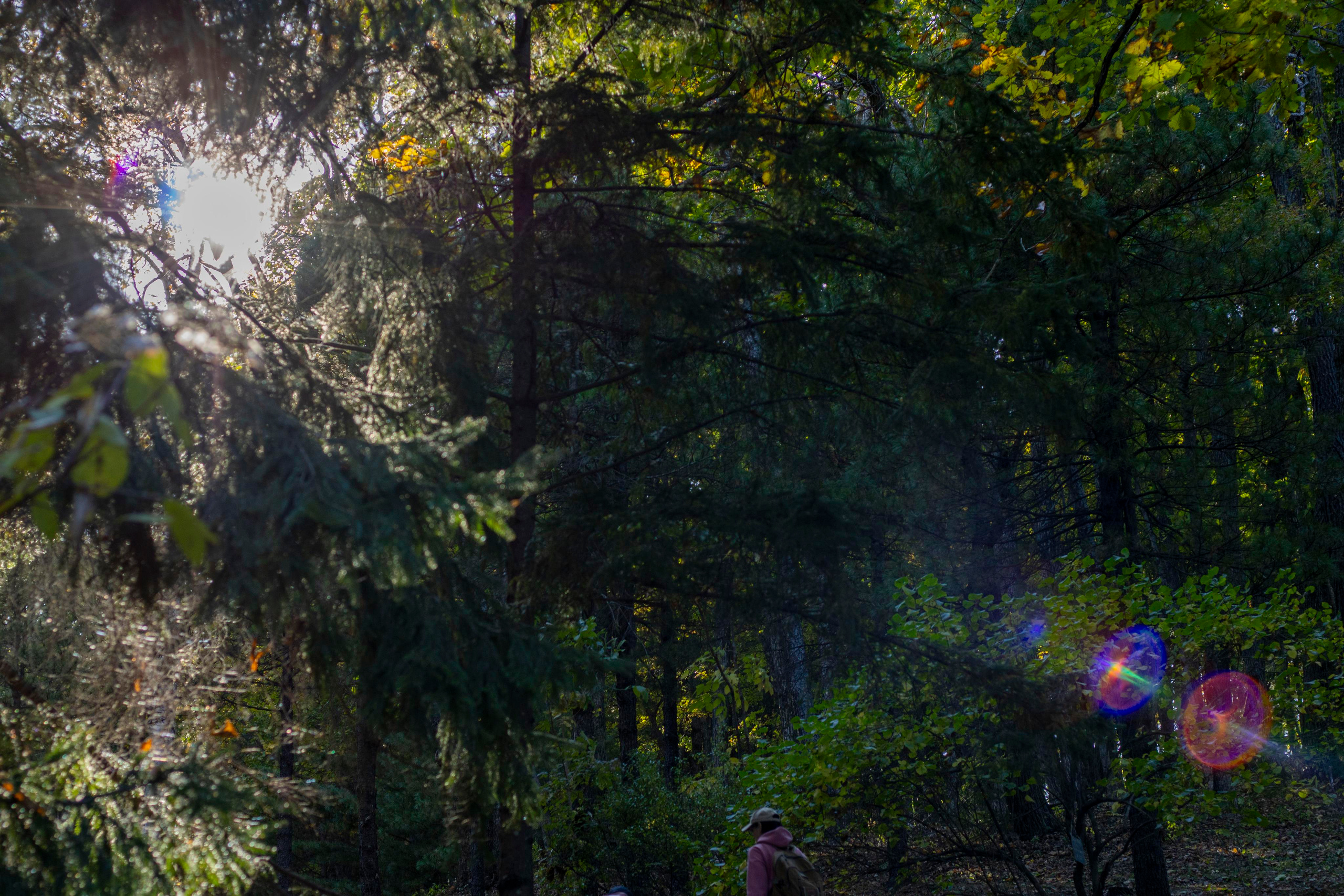 Пейзажи и Природа. Фотограф г. Владивосток