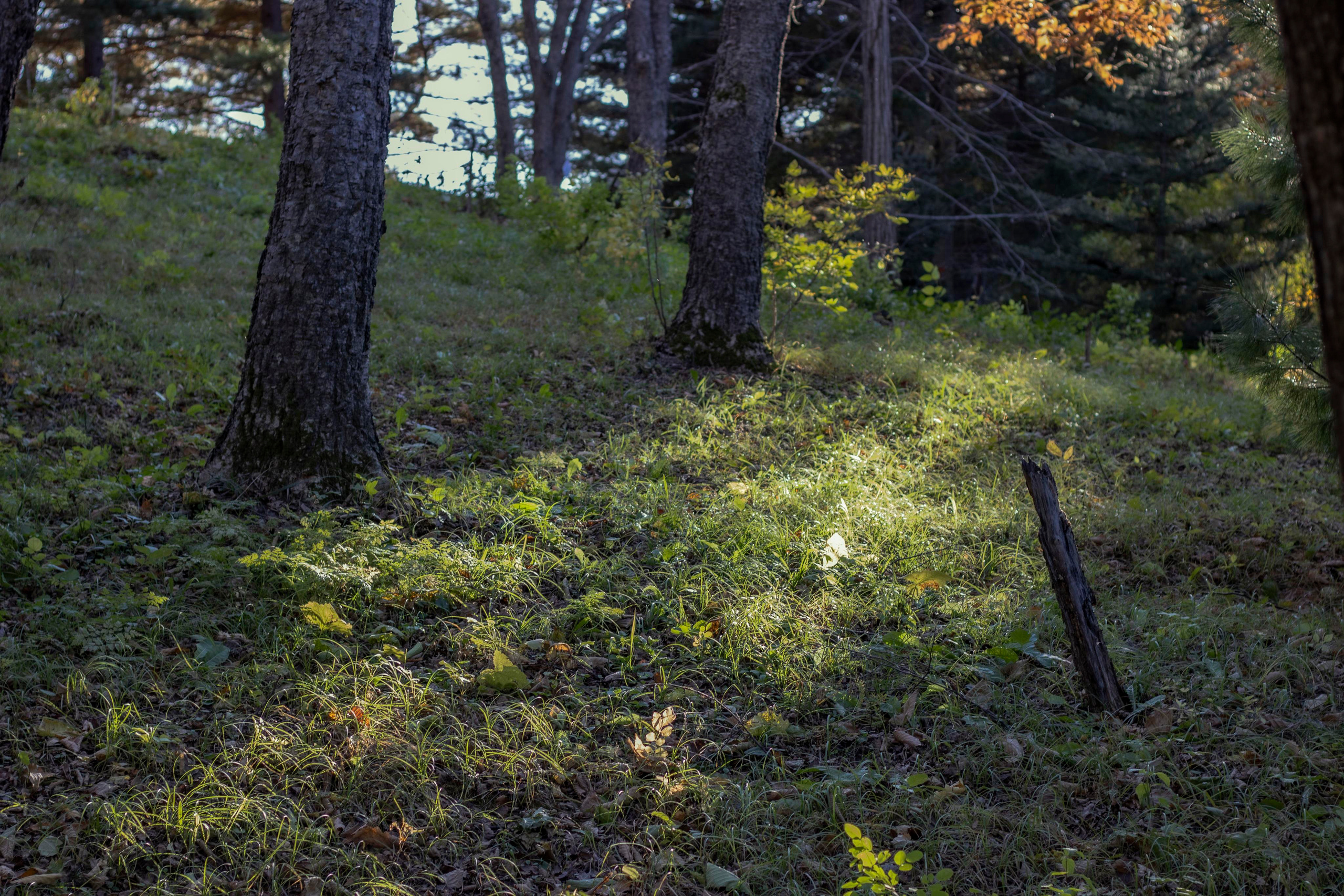 Пейзажи и Природа. Фотограф г. Владивосток