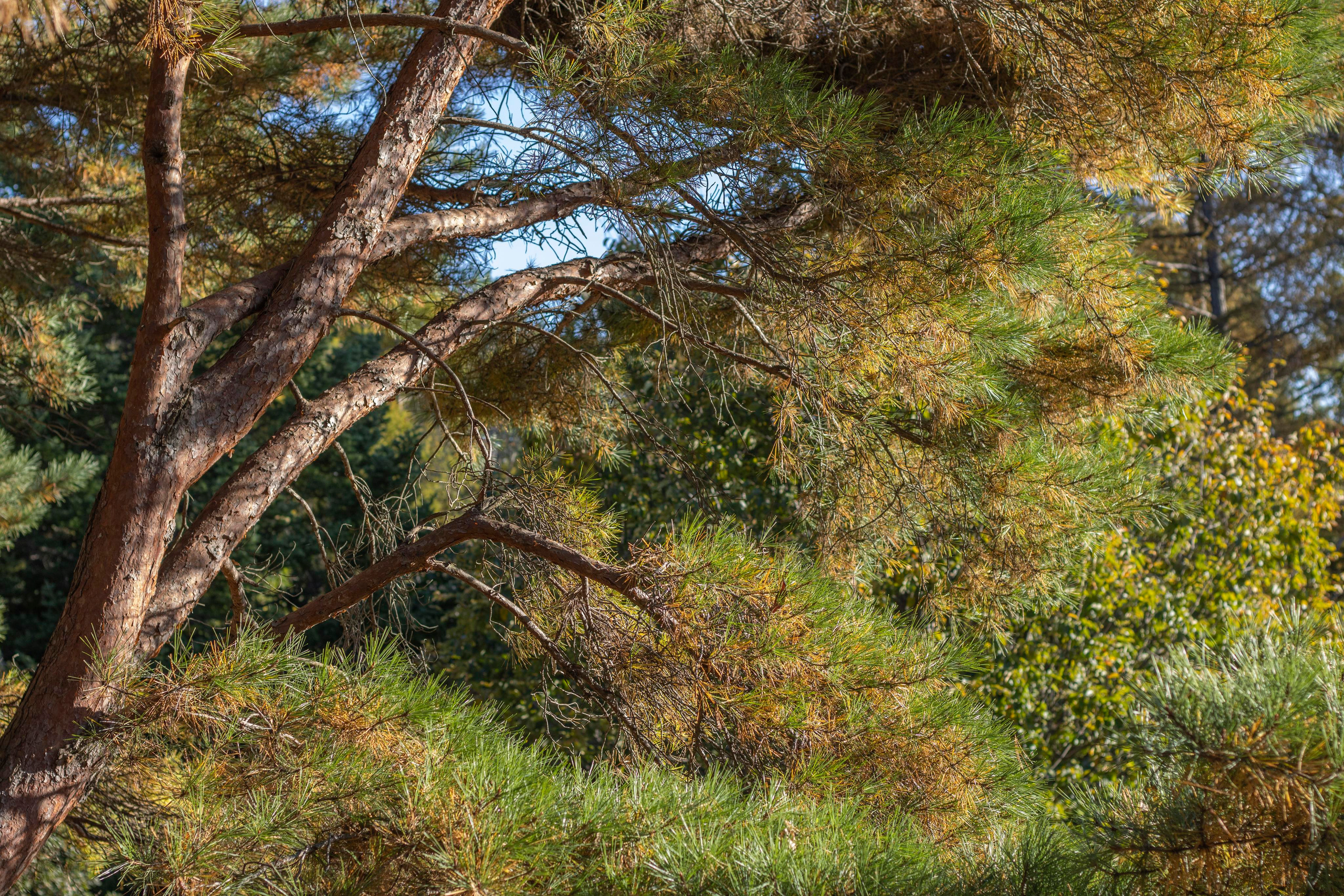 Пейзажи и Природа. Фотограф г. Владивосток