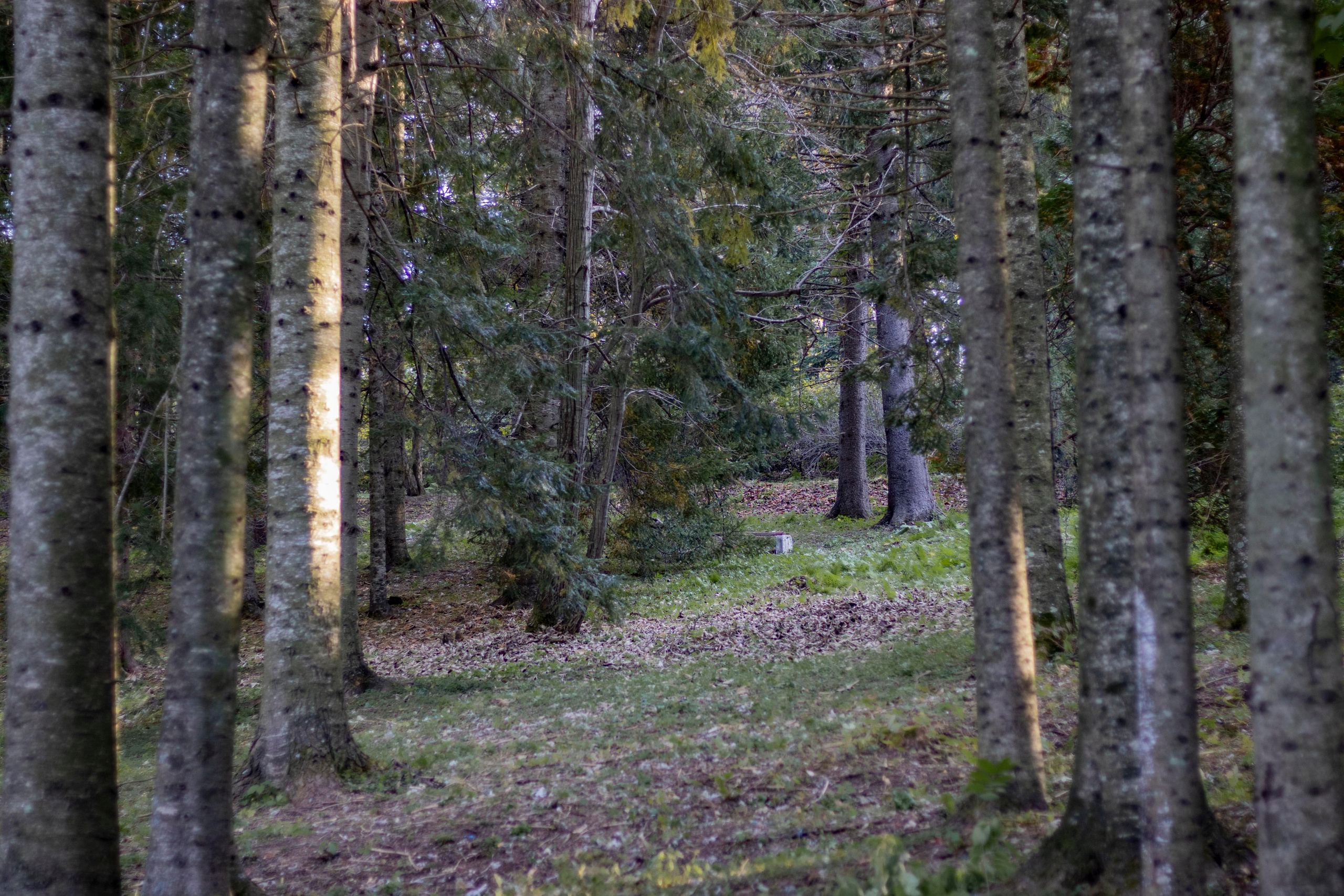 Пейзажи и Природа. Фотограф г. Владивосток