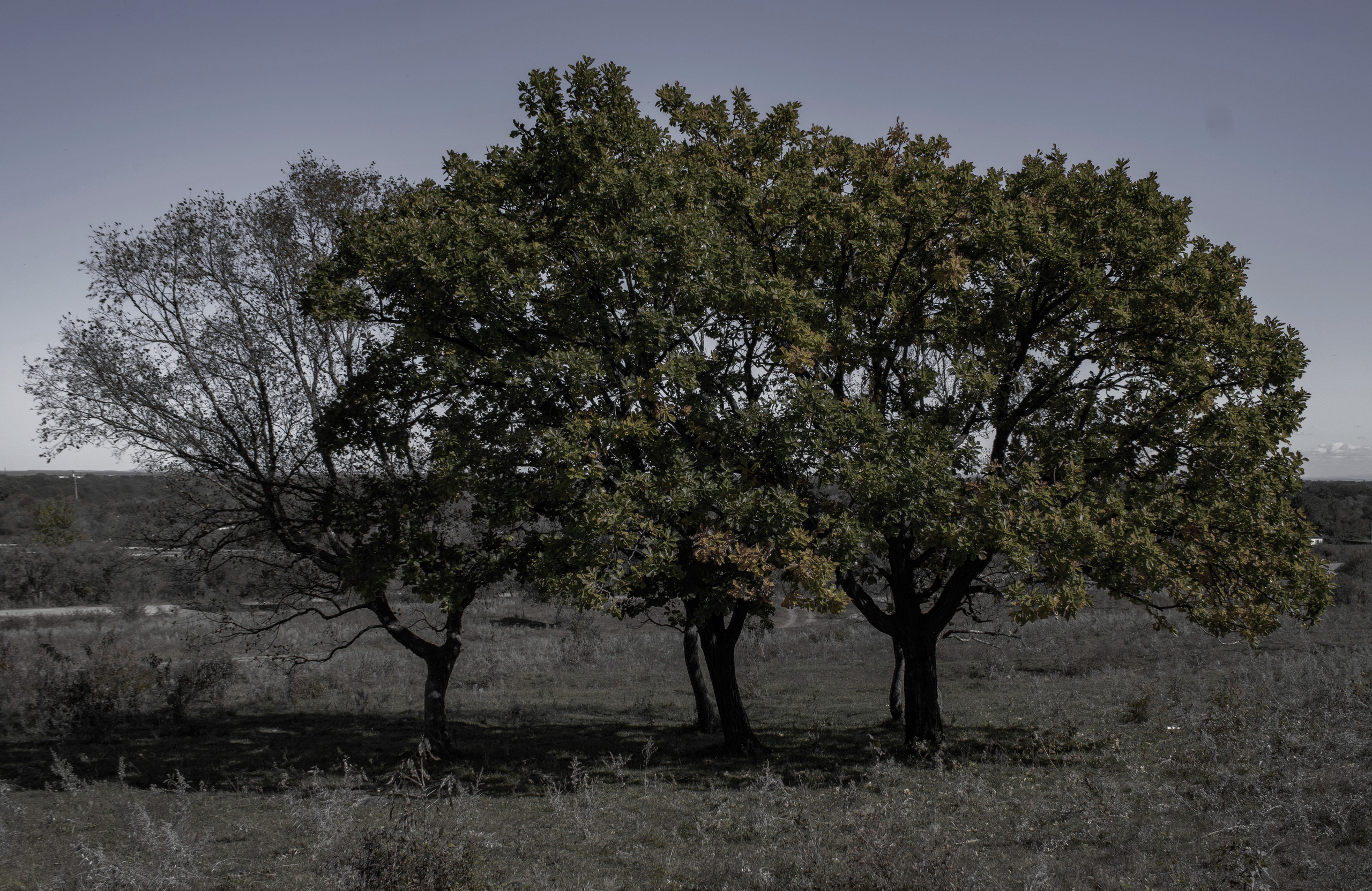 Пейзажи и Природа. Фотограф г. Владивосток