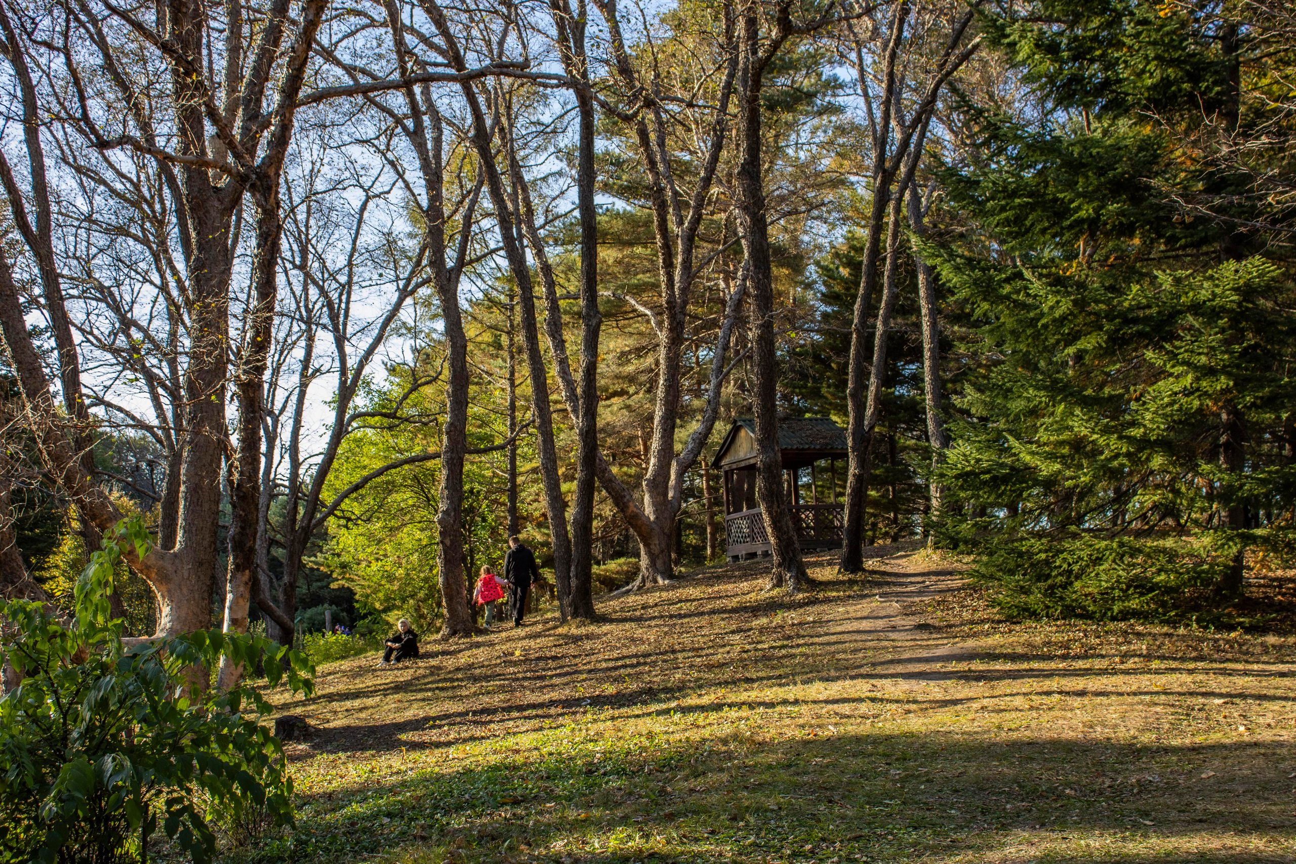 Походы. Фотограф г. Владивосток