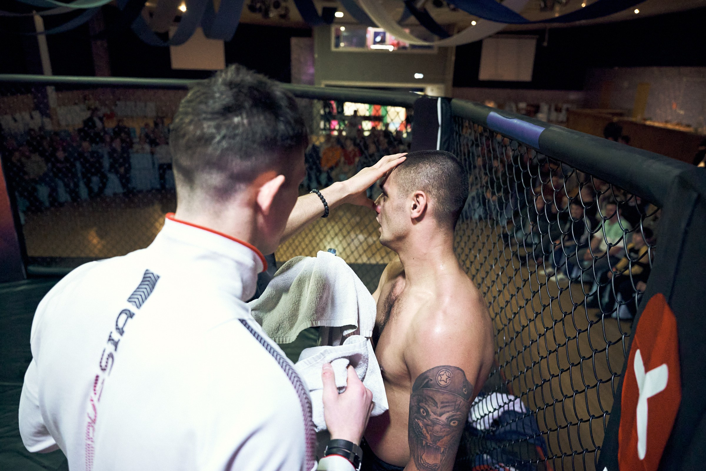 Бои. Маляревич Дмитрий свадебный фотограф