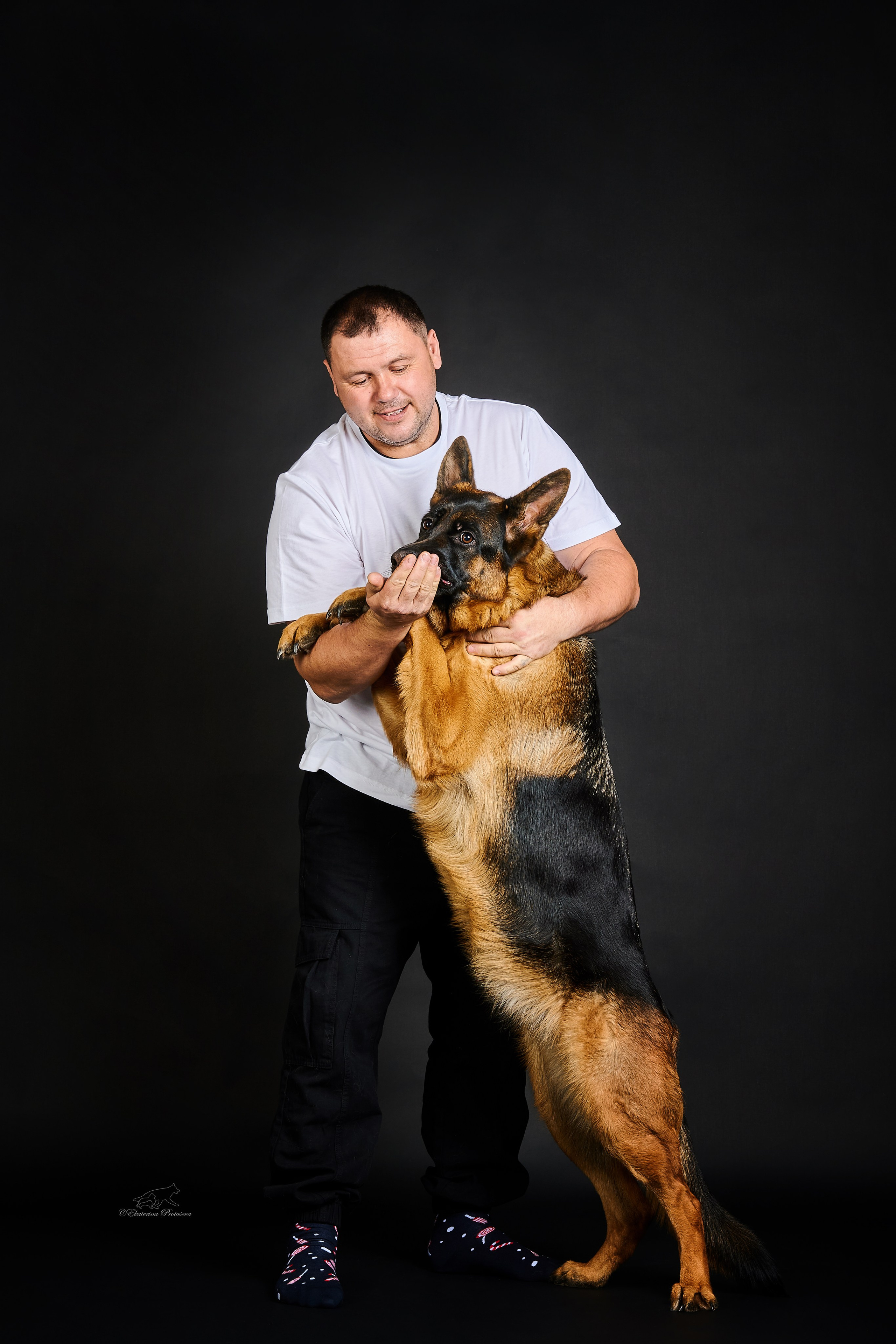 Немецкая овчарка Роми. Фотограф-анималист в Иркутске