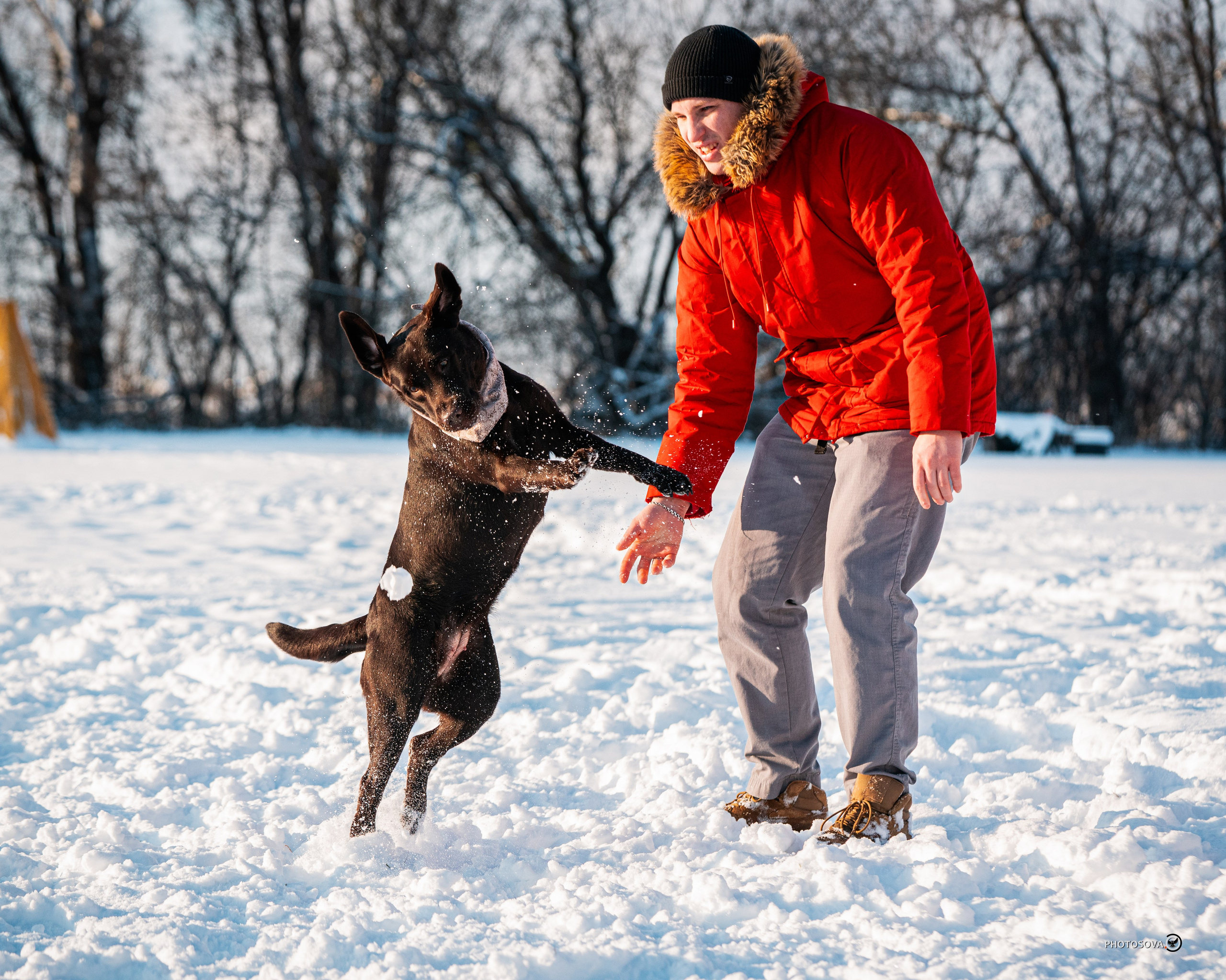 ФОТОПАМЯТЬ ВАШИХ ЭМОЦИЙ. Фотограф-анималист, семейный фотограф в Москве и Подмосковье. Фотосъёмка кинологических дисциплин