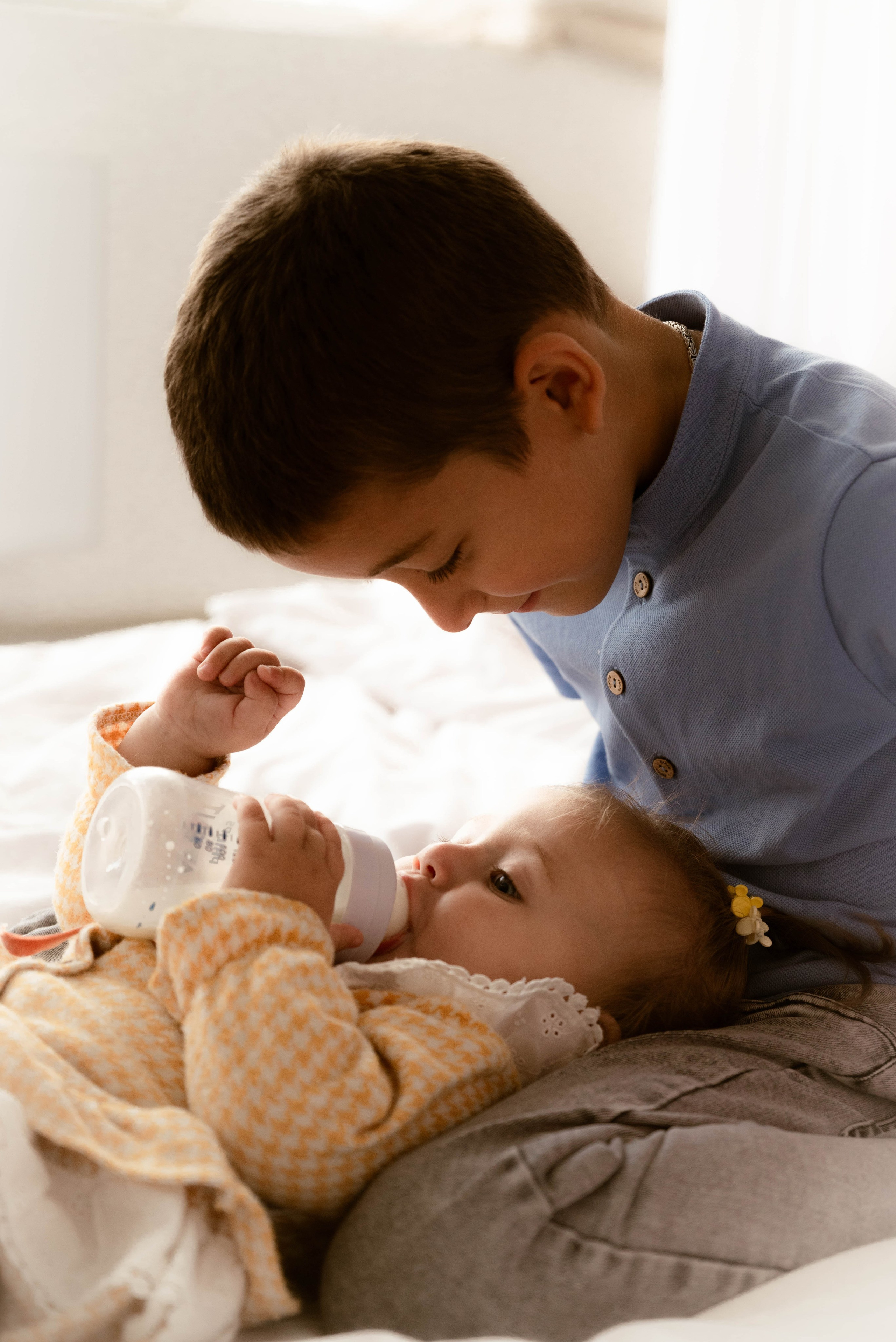 Семейные портреты. Главная