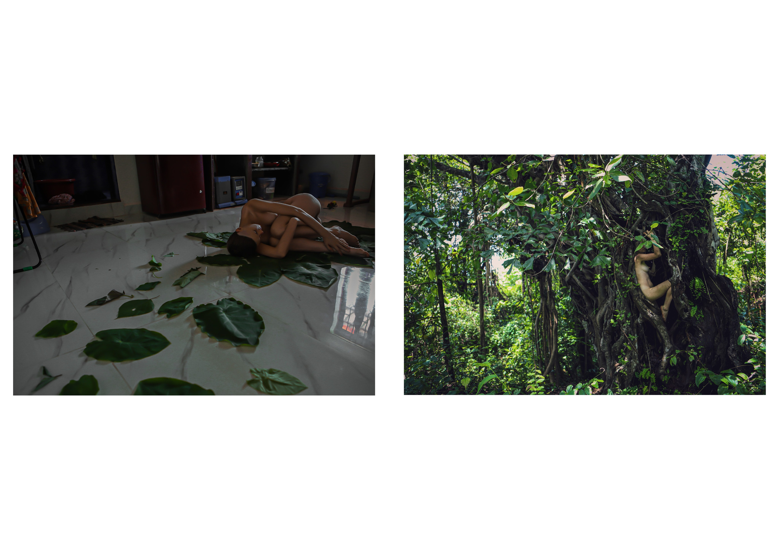 Nature me. Сайт Фотографа MASHASOLAR