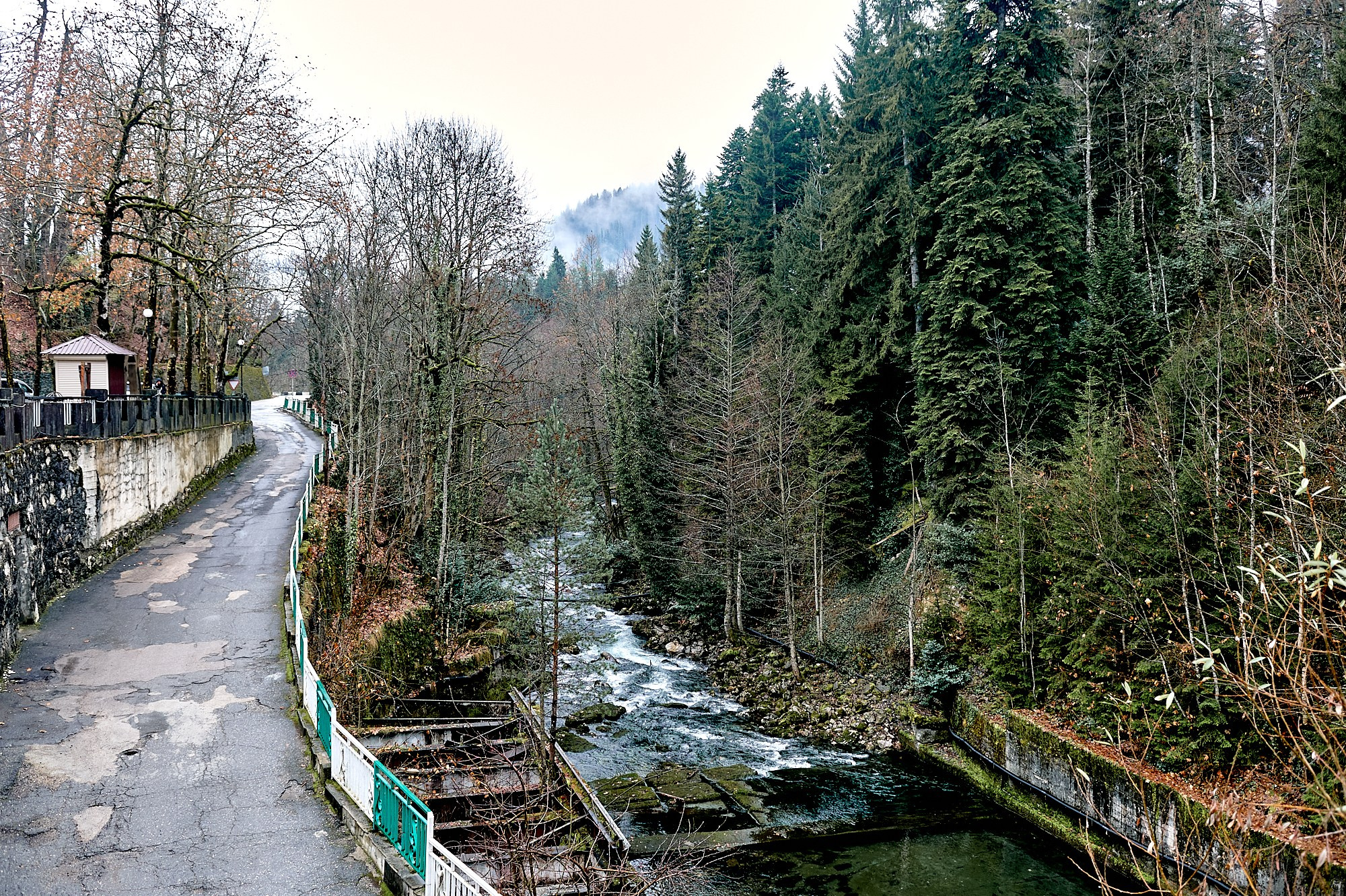 Озеро Рица, Абхазия. Декабрь 2024. Фотографии отовсюду и обо всем
