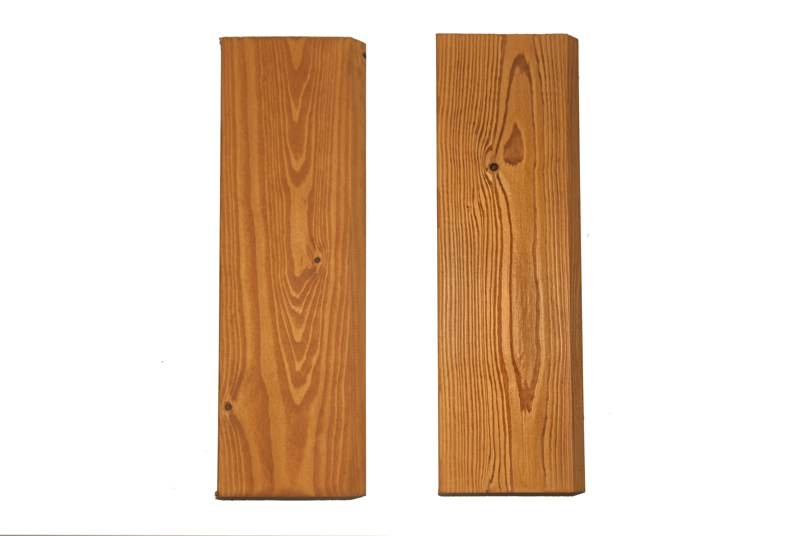 Дерево. Фотограф