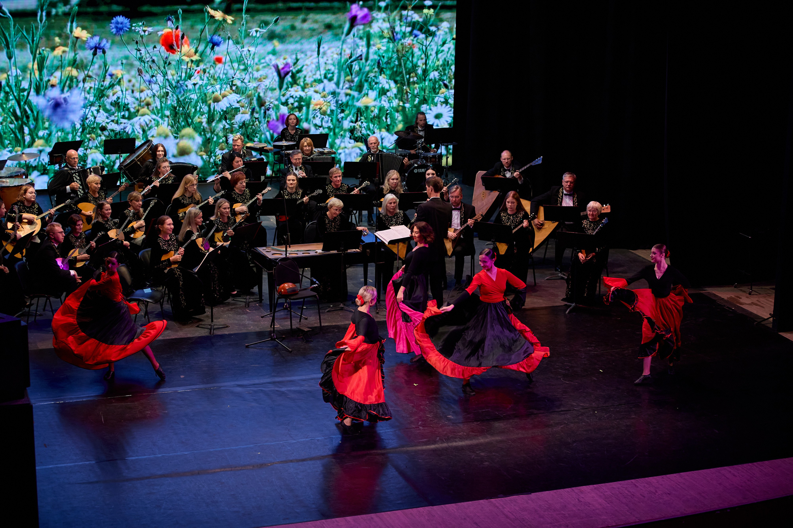 Филармония «Вокруг света в ритме танца». Фотограф Илья Прохоров в Кирове