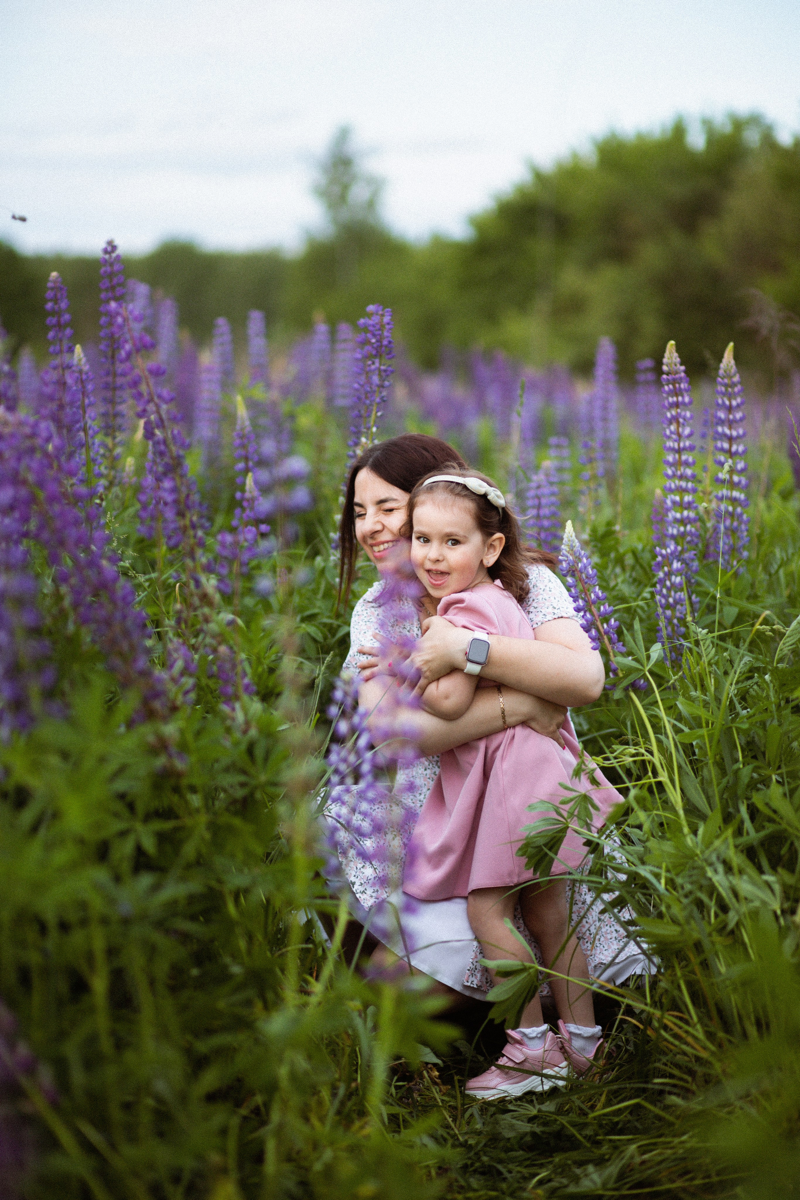 Июньские люпины. Фотограф в Москве/Санкт-Петербурге
