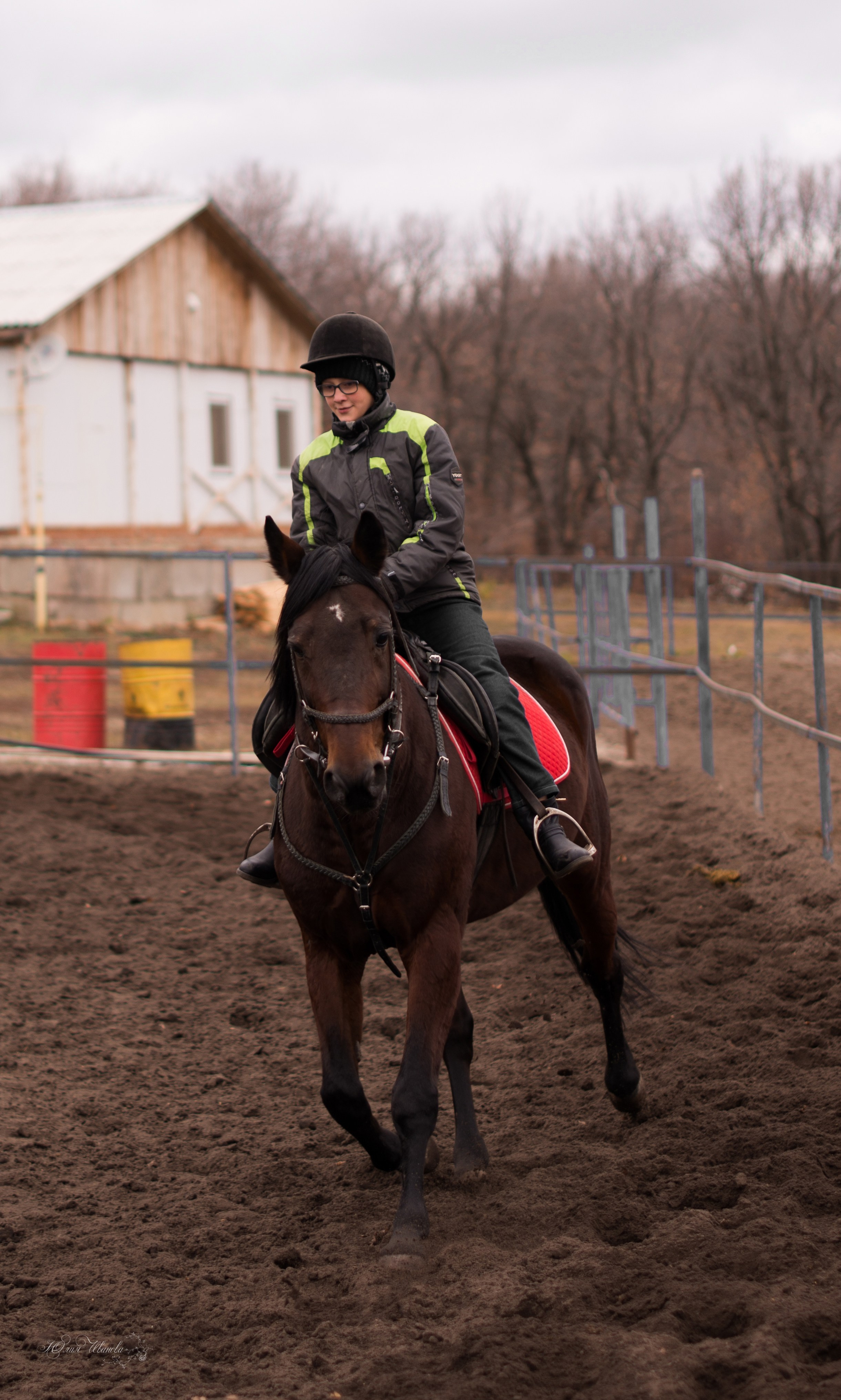 Тренировка с Гайдуком. Конный фотограф в Саратове Юлия Иванова