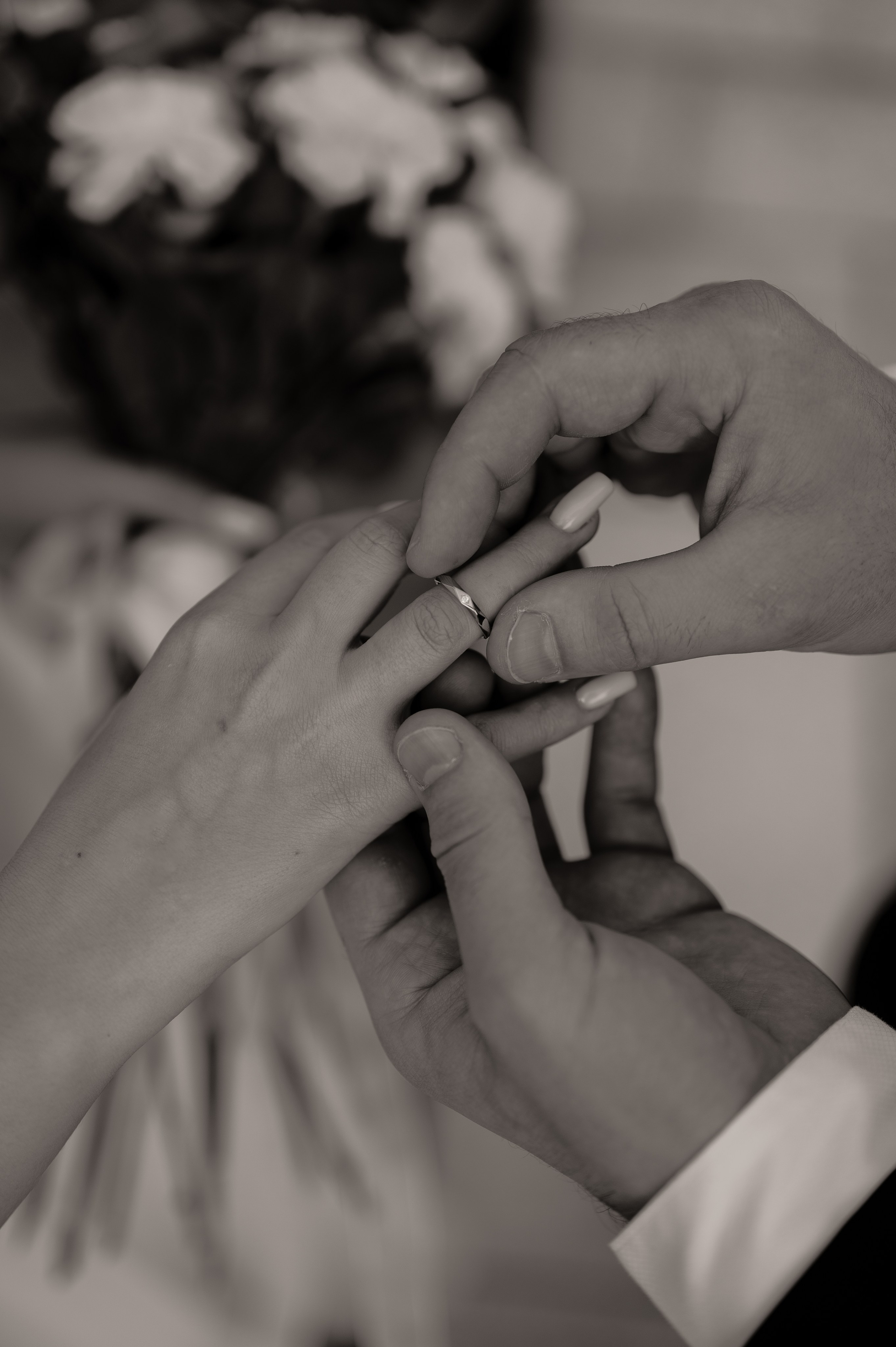 Свадьба загс и прогулка. Свадебный и семейный фотограф в Краснодаре Алина Мельник