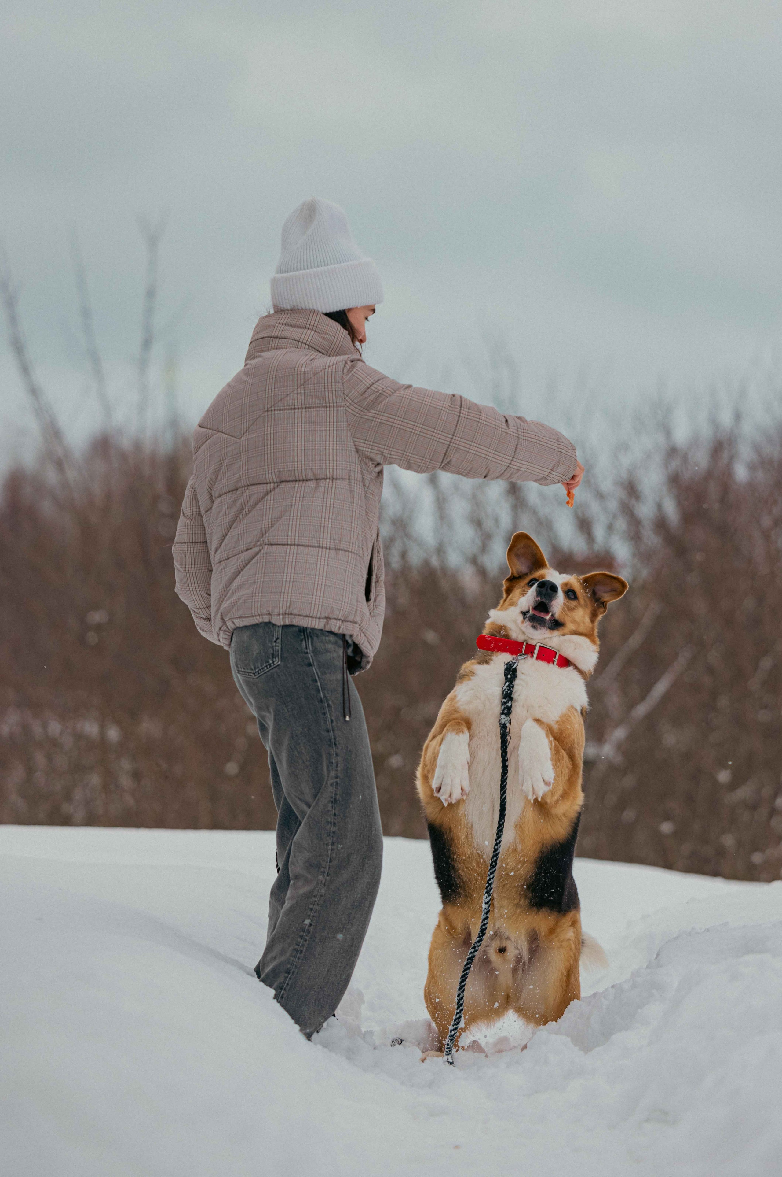 Петя. Фотограф-анималист в Москве Лера Черноног