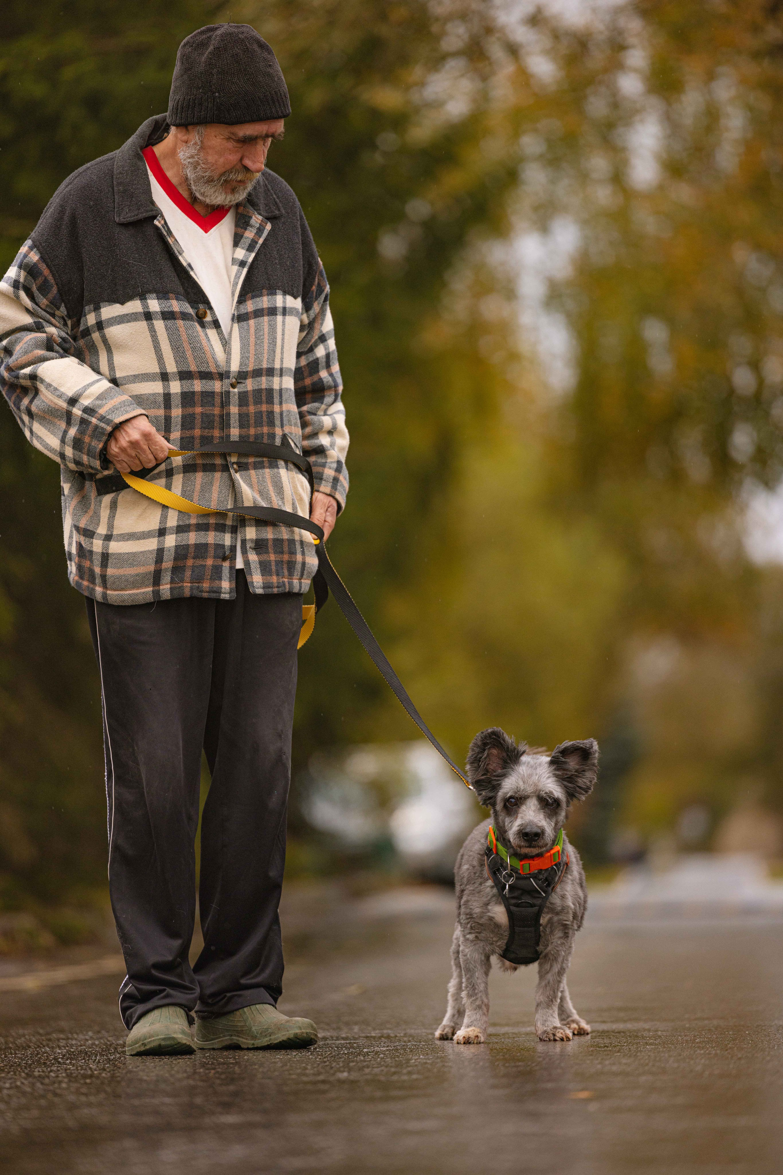 Передержка. Фотограф-анималист в Москве Лера Черноног