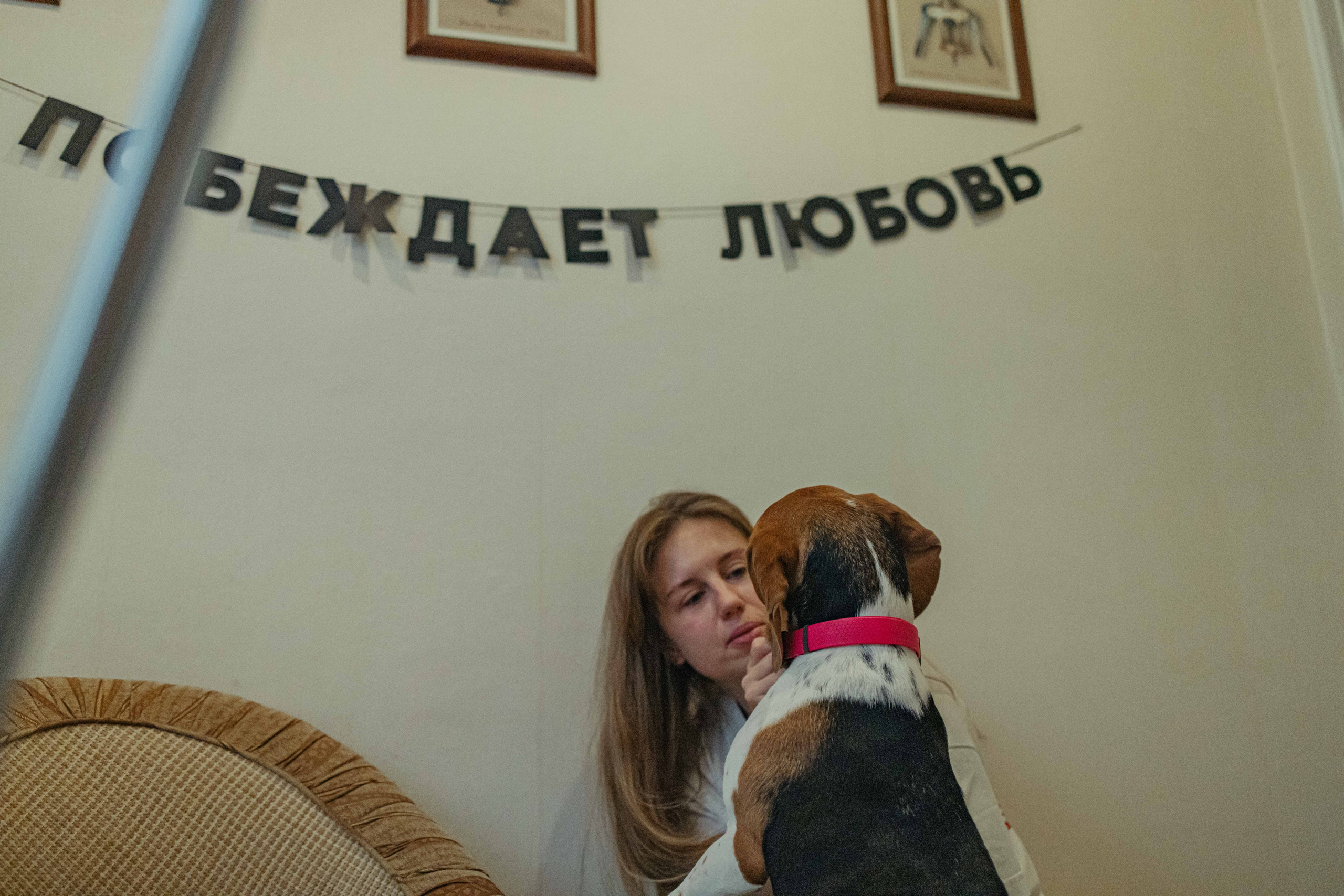 Света и Ива. Фотограф-анималист в Москве Лера Черноног