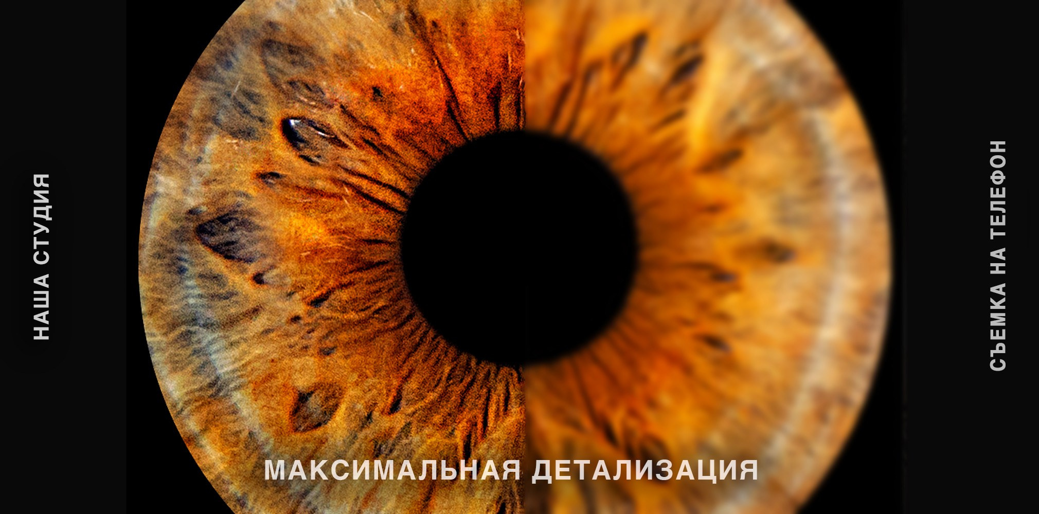 Фото радужки глаза LOOK IN