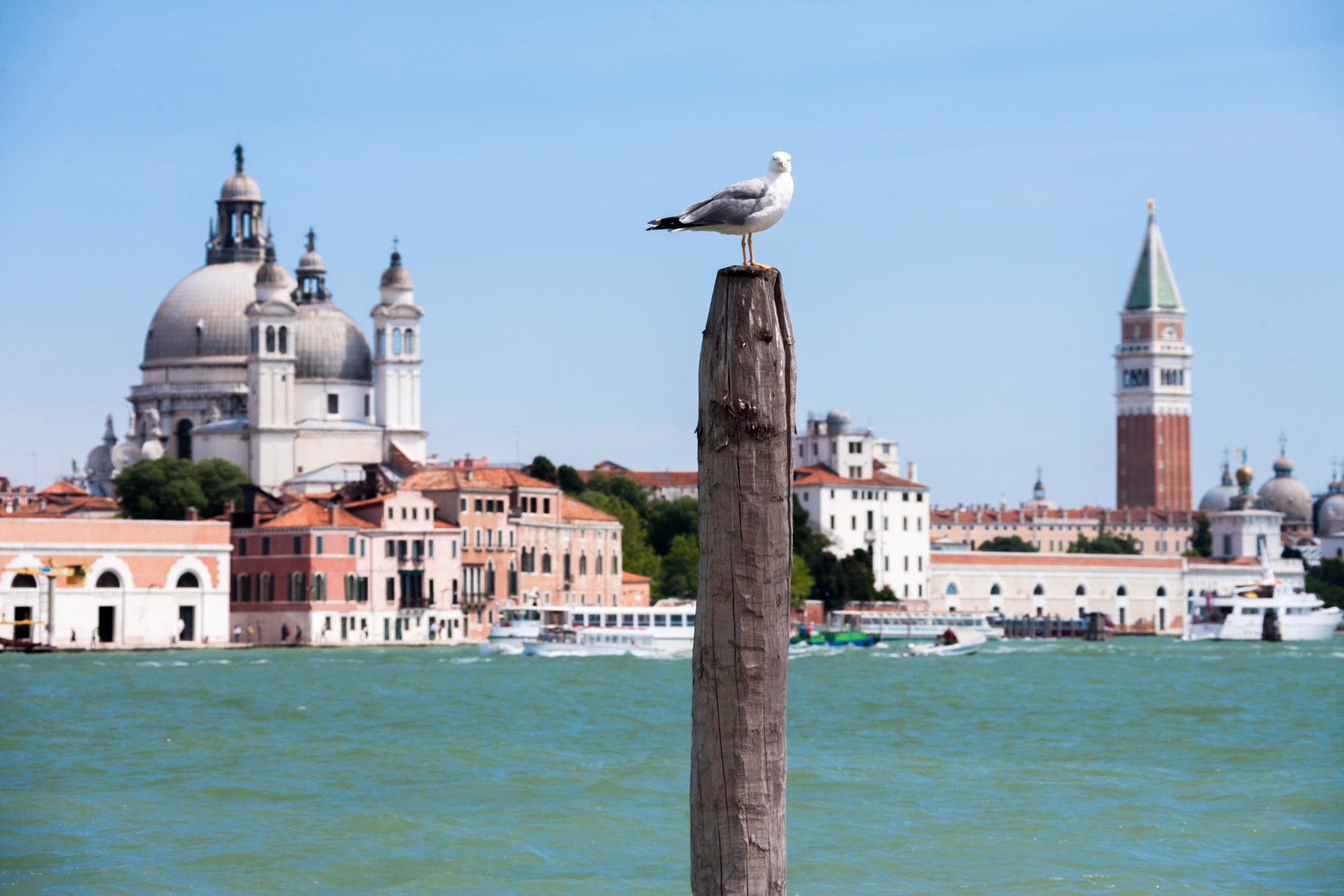 Италия. Фотограф Алексей Скоробогатько