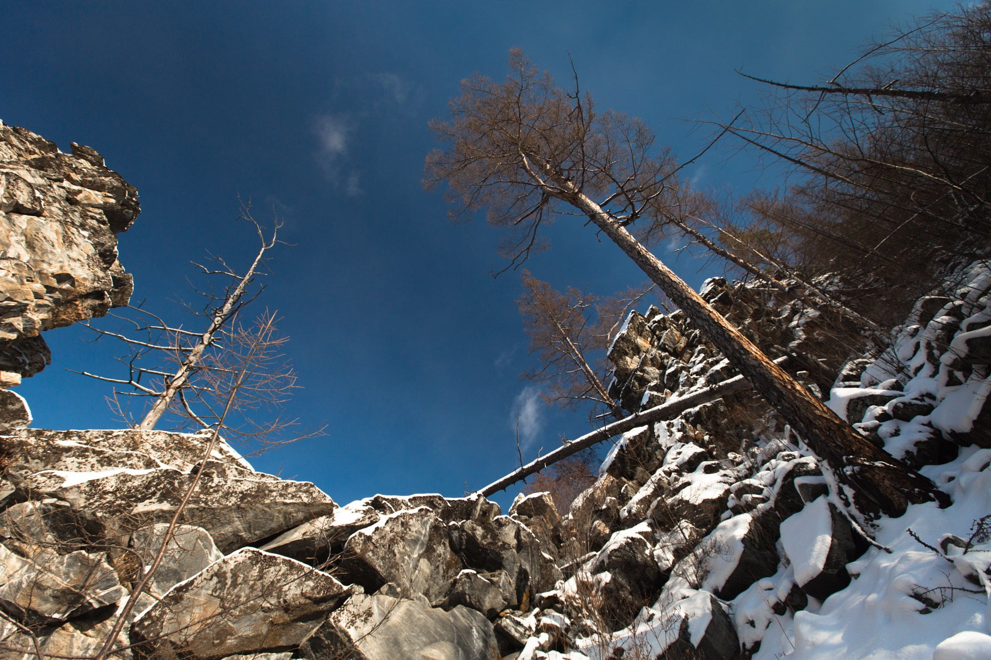 Фотограф Алексей Скоробогатько