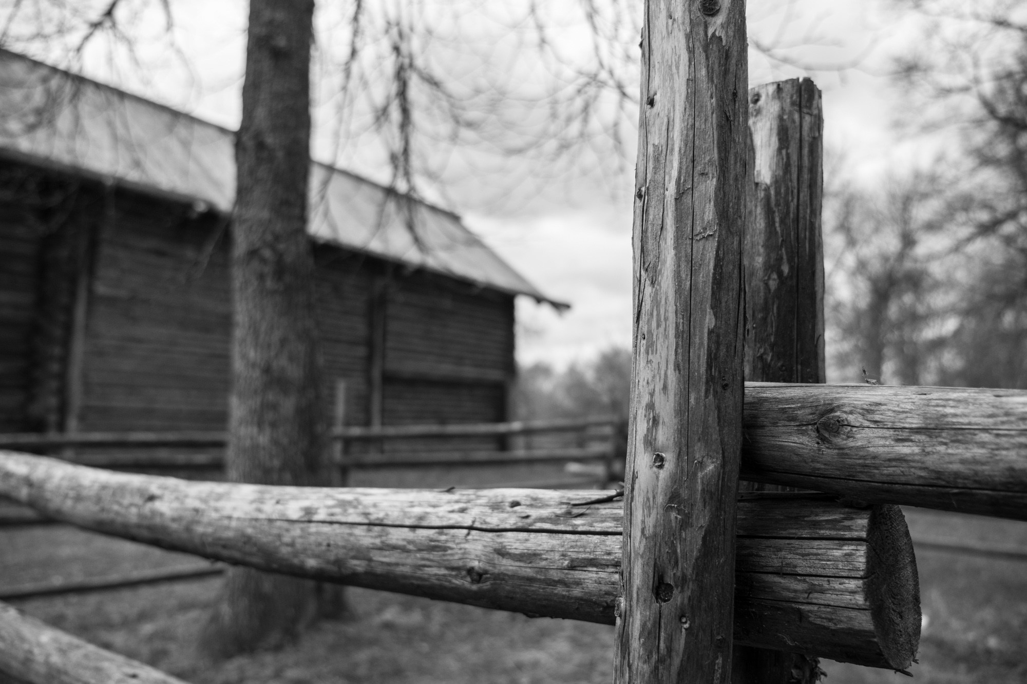Новгород. Фотограф Алексей Скоробогатько