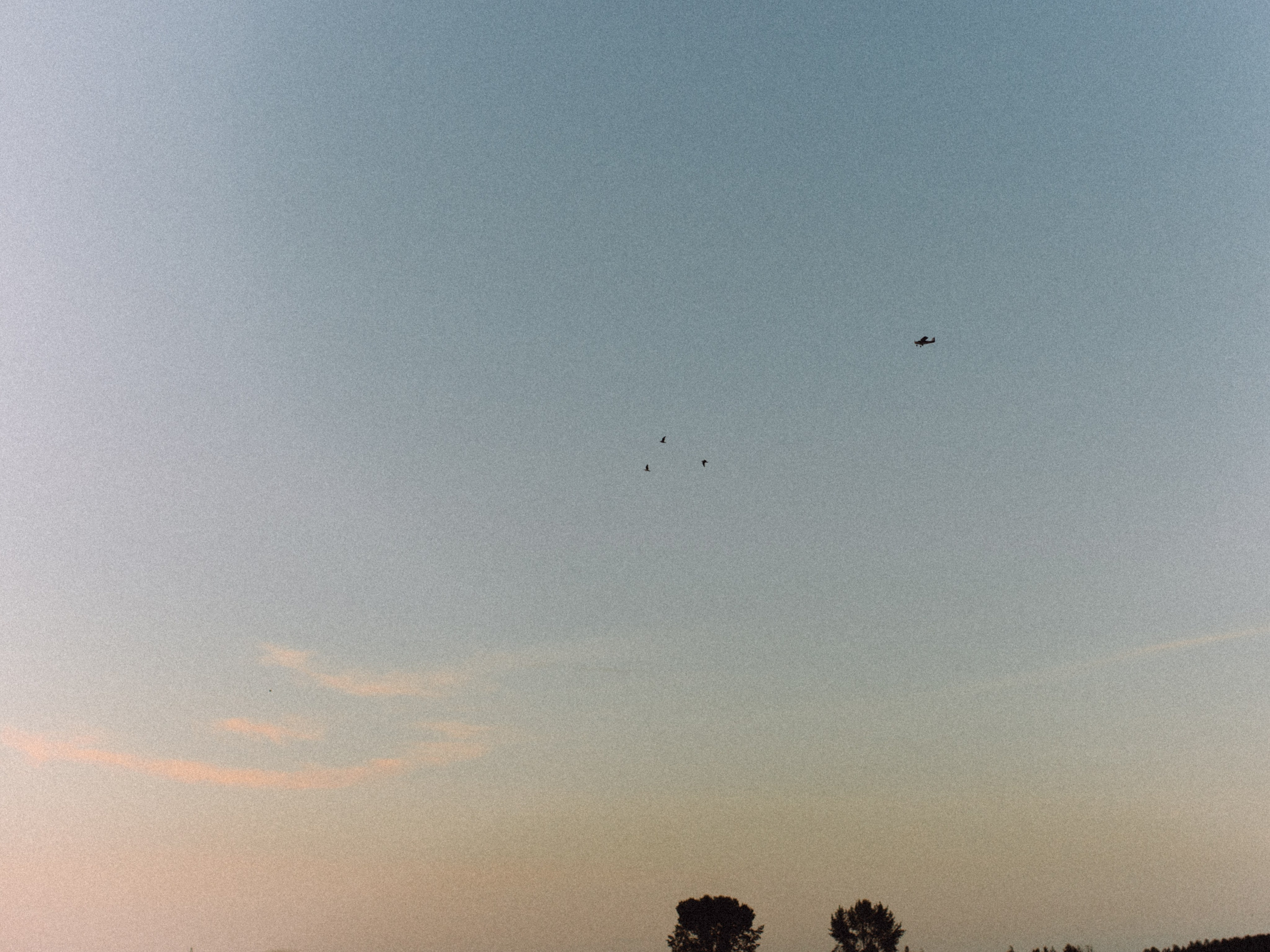 Аня и Даня. Свадебные фотографы в г. Сургут Маркова Наталья и Замахина Елена