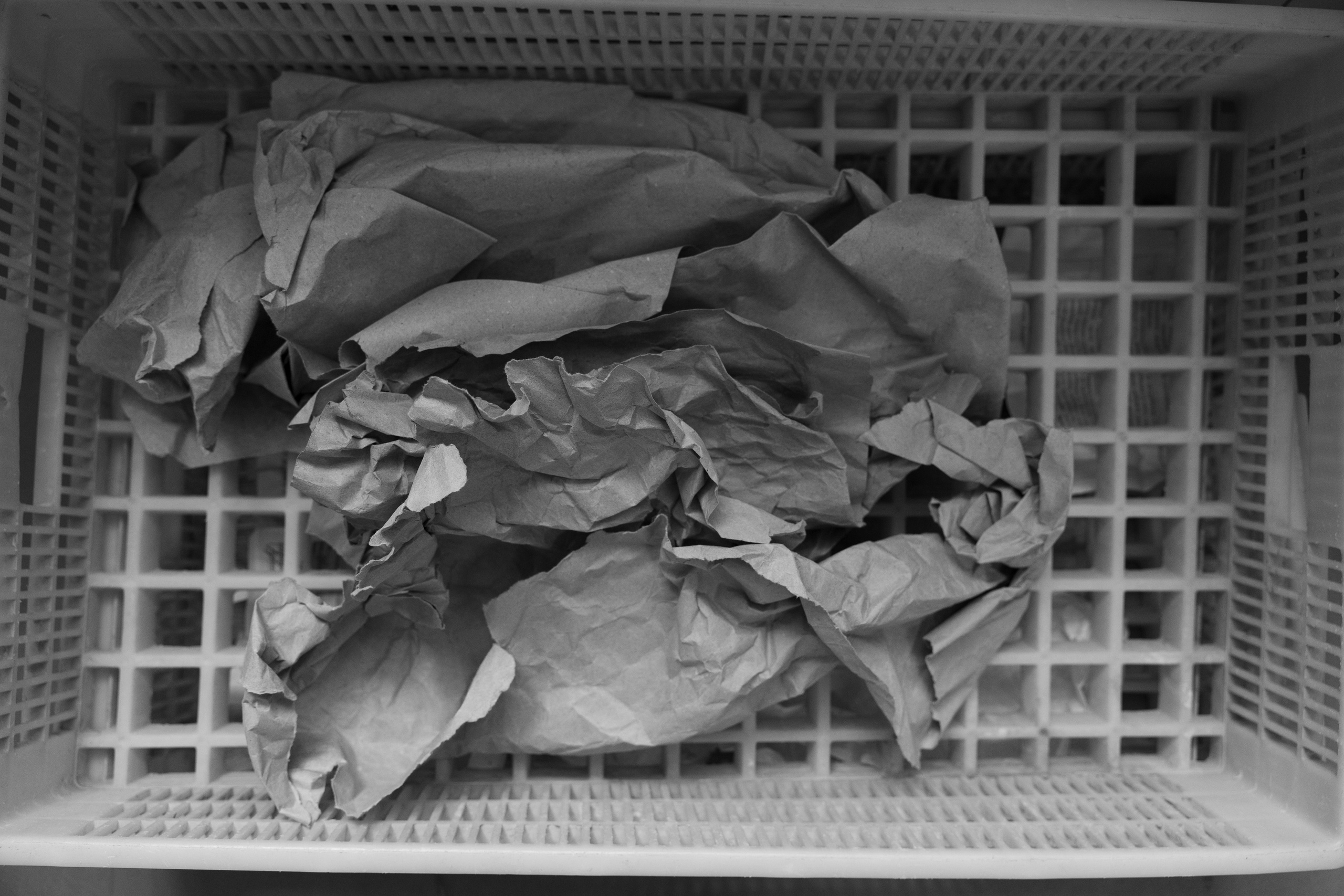 Art prints. Фотограф алина стерхова, алина стерхова фотограф, фотограф москва